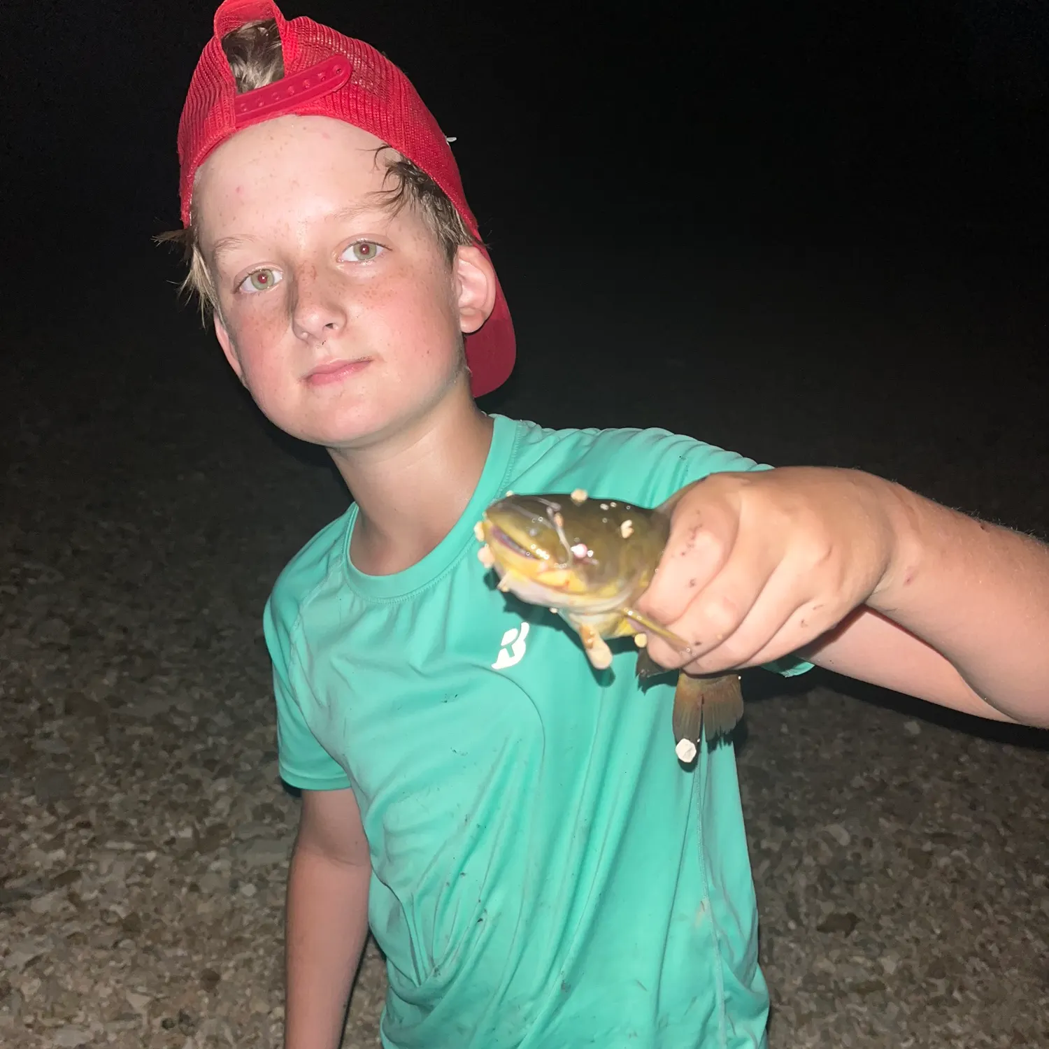 Yellow bullhead caught on Fishbrain