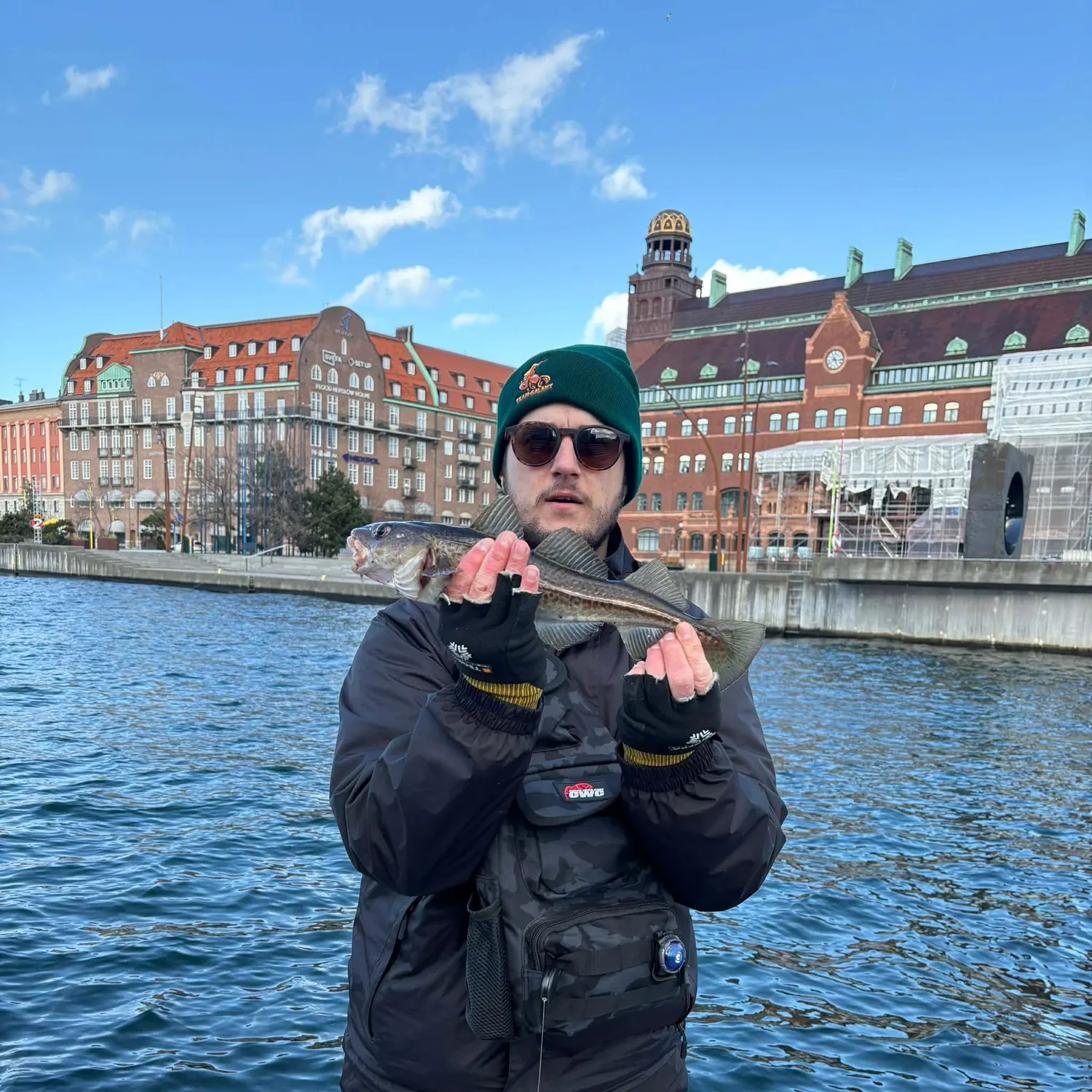 The most recent Atlantic cod catches on Fishbrain