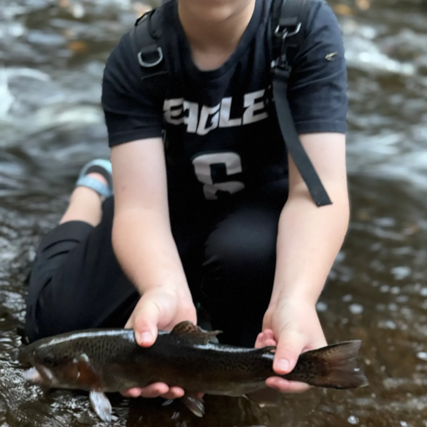 Rainbow trout caught on Fishbrain