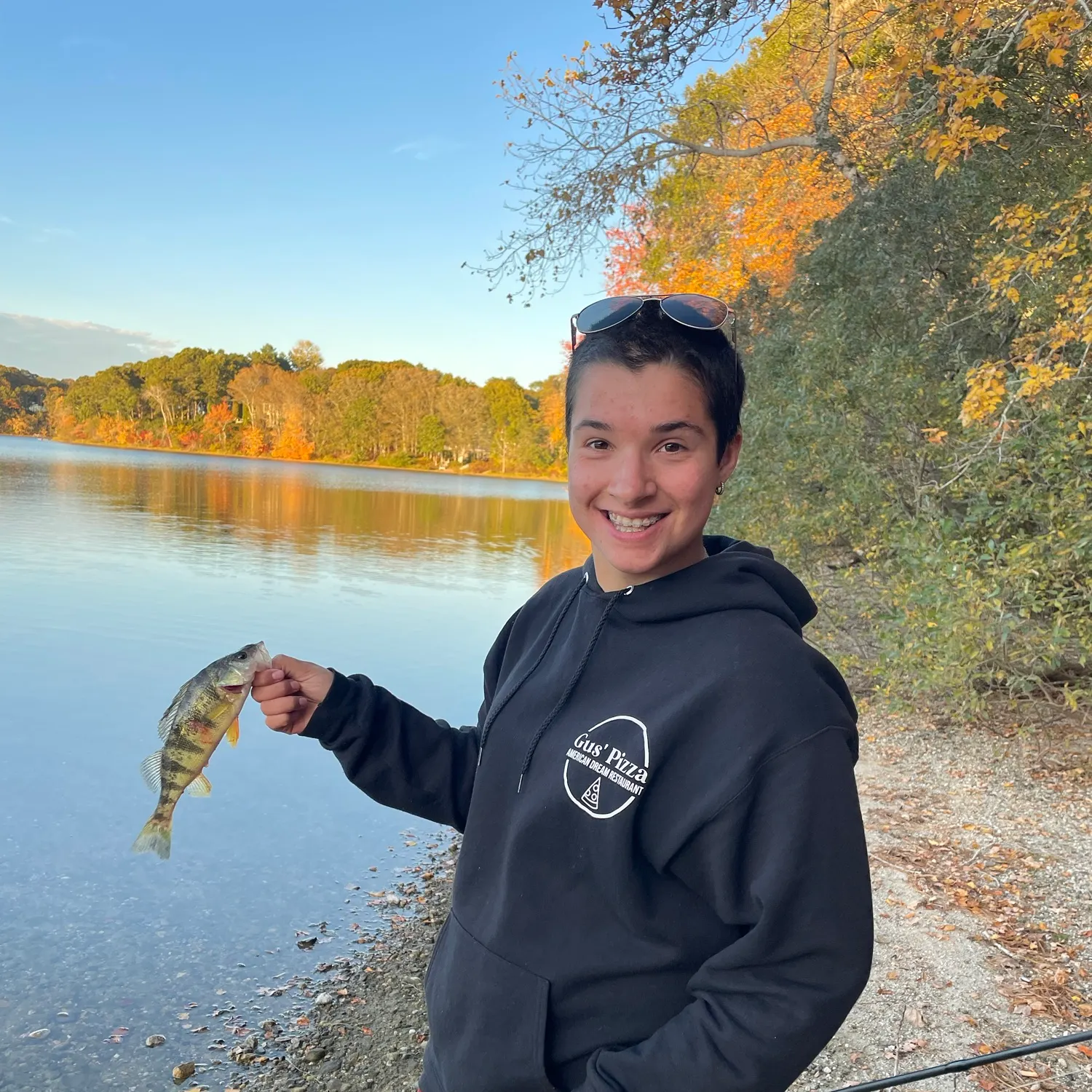 Yellow perch caught on Fishbrain