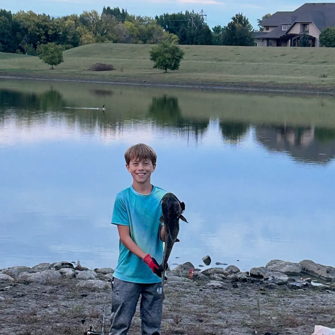 Channel catfish caught on Fishbrain