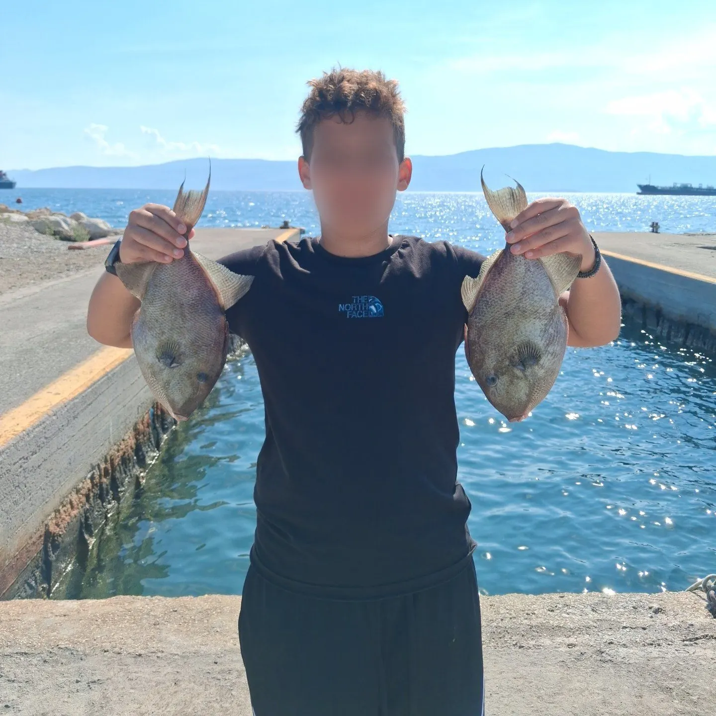 Grey triggerfish caught on Fishbrain