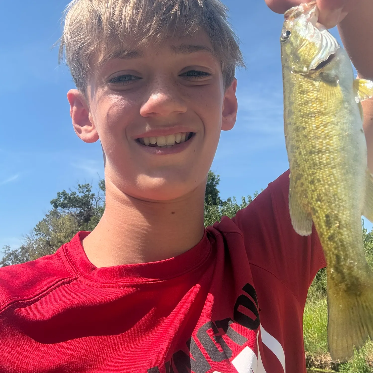 Smallmouth bass caught on Fishbrain