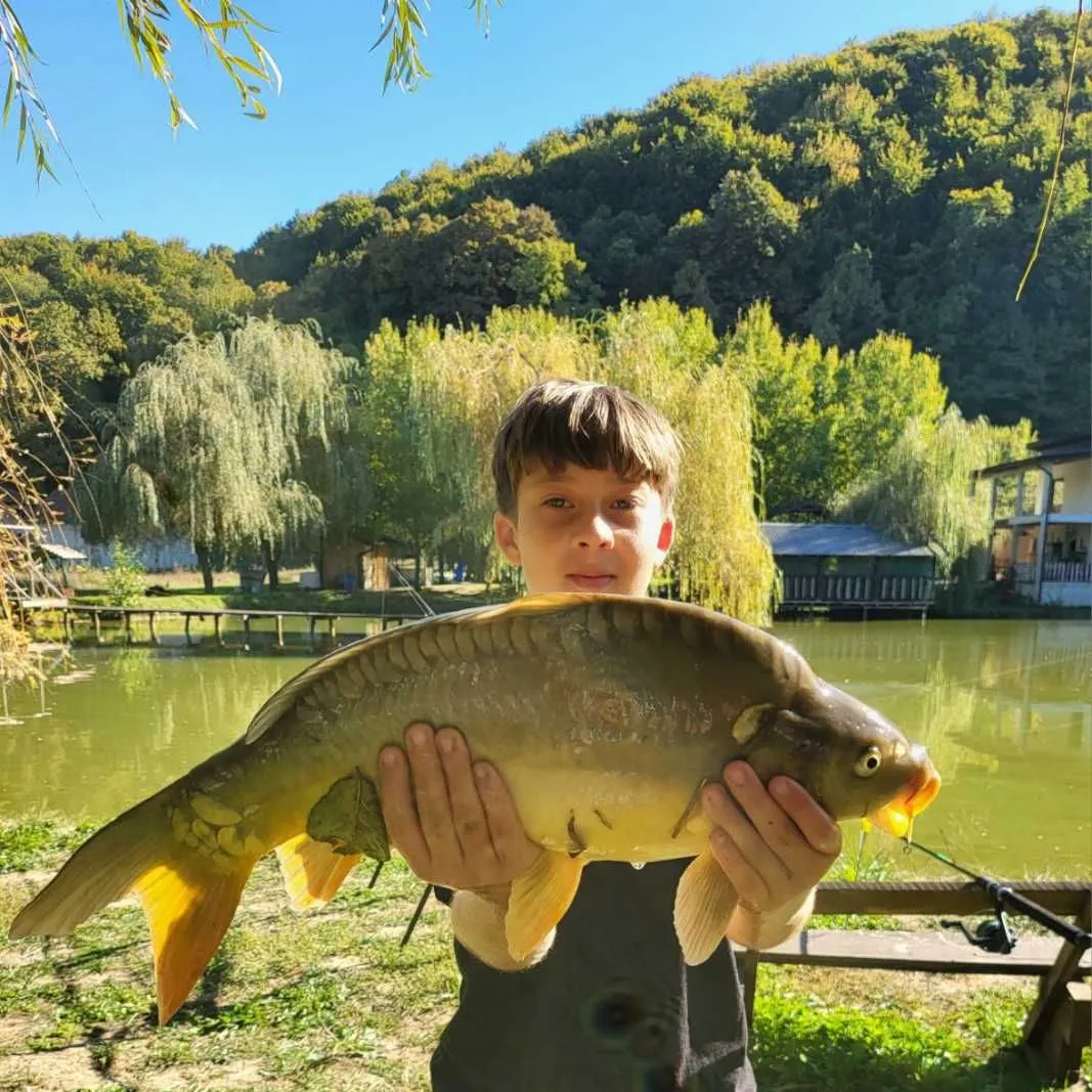 The most recent Leather carp catches on Fishbrain