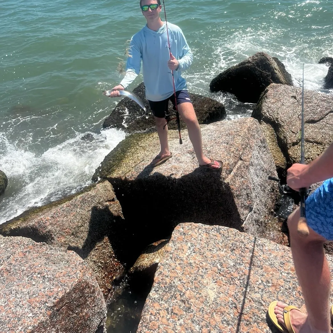 The most recent Southern sennet catches on Fishbrain