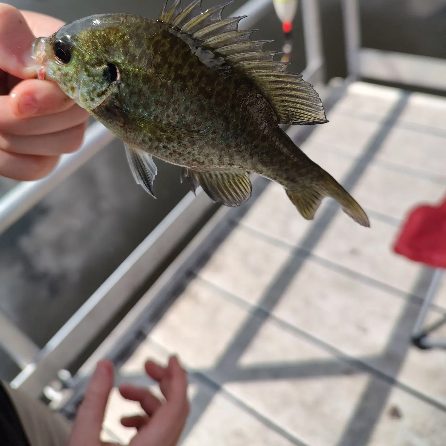 catch