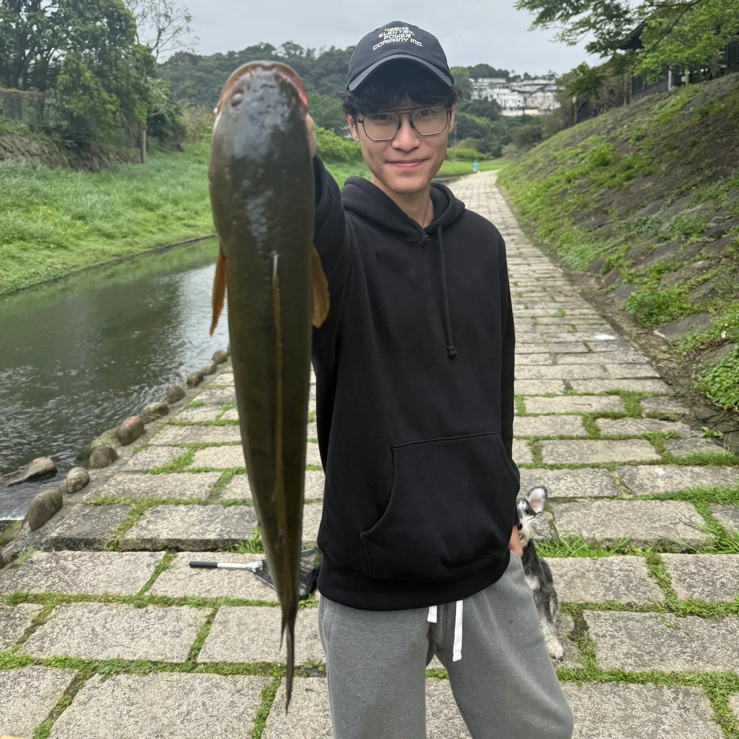 The most recent Striped snakehead catches on Fishbrain