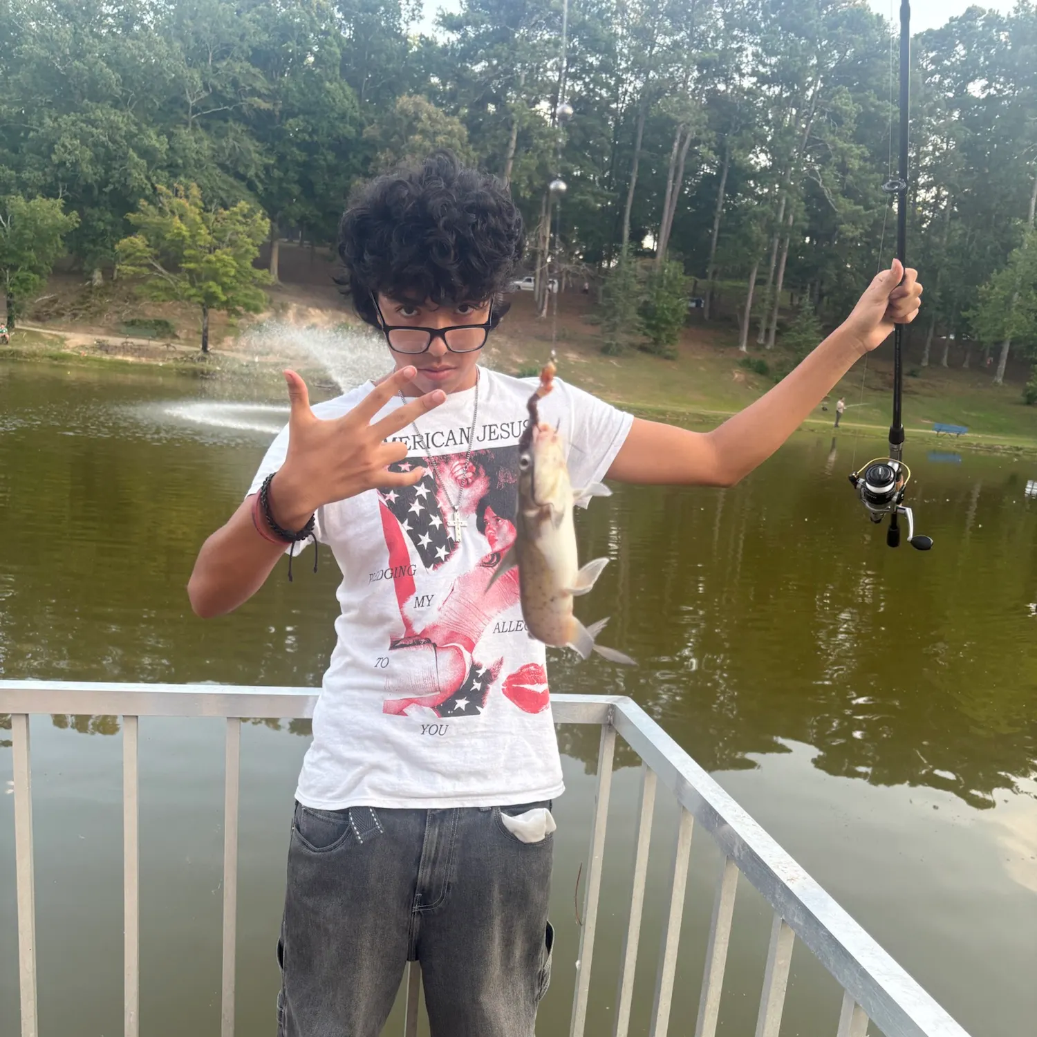 Hardhead sea catfish caught on Fishbrain