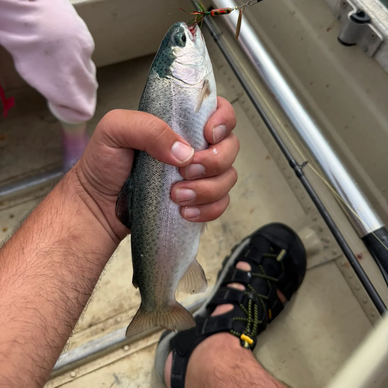 Fish caught on Fishbrain