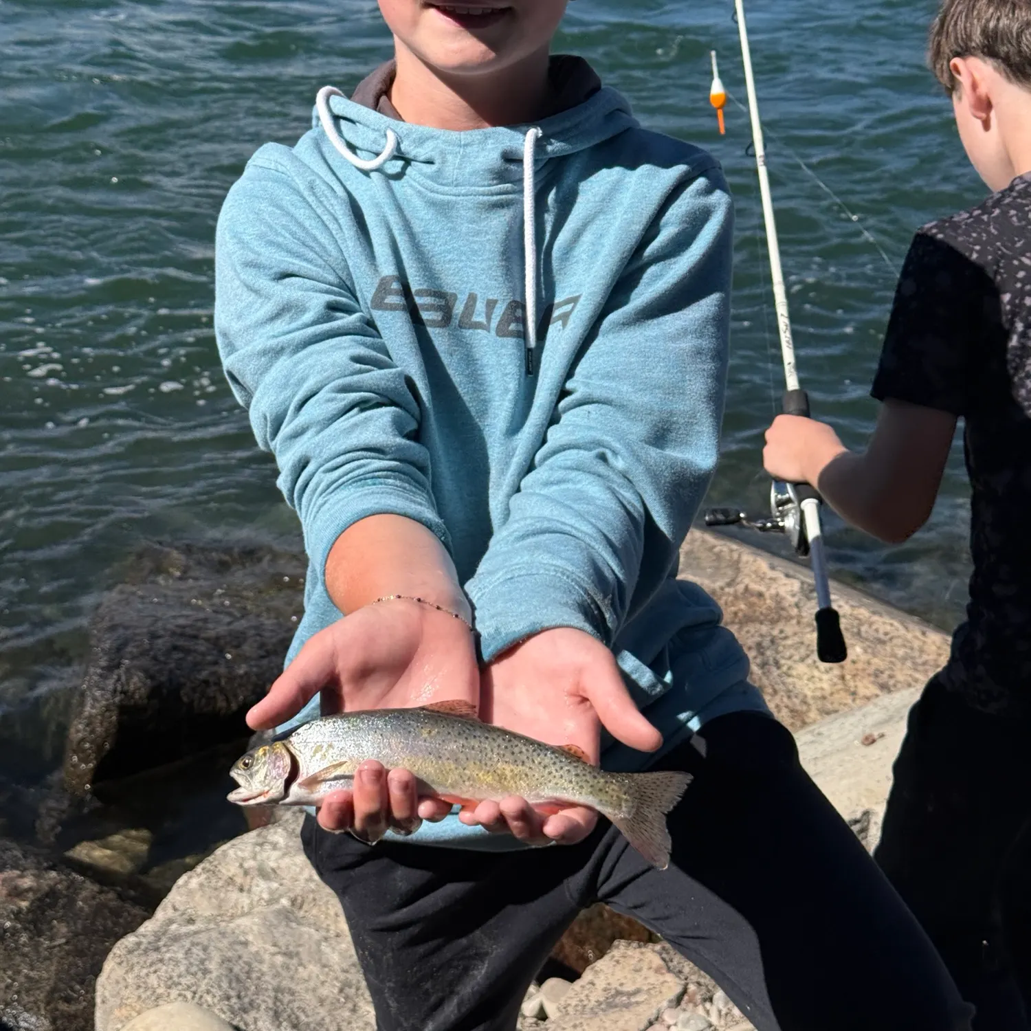 Cutthroat trout caught on Fishbrain