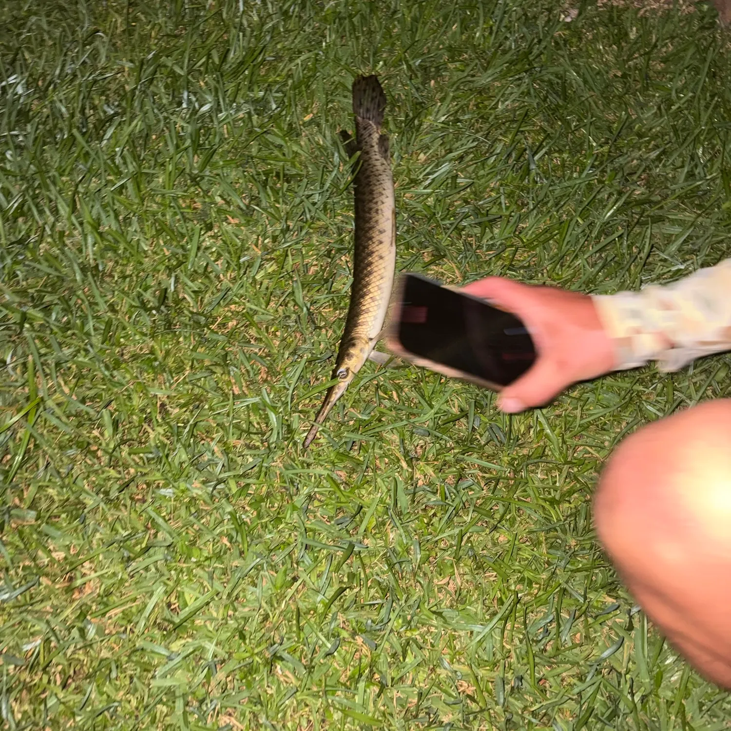 catch