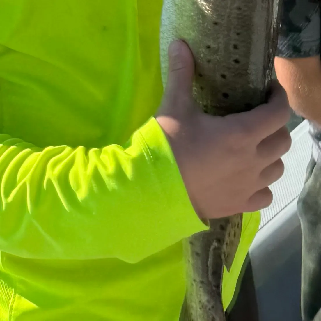 Spotted seatrout caught on Fishbrain