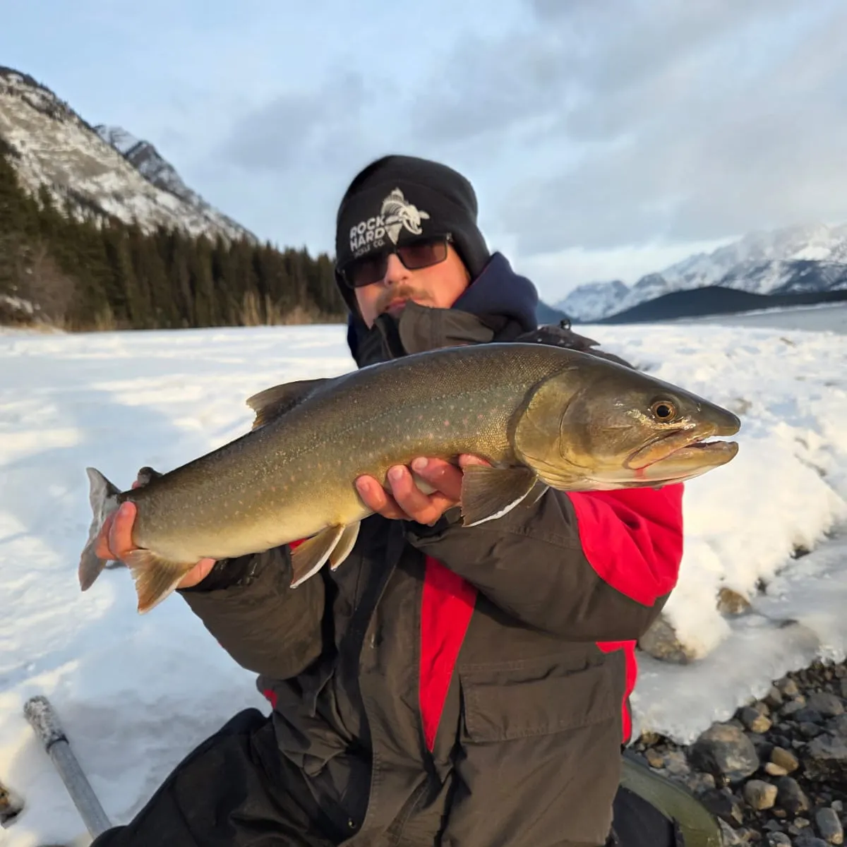 The most recent Bull trout catches on Fishbrain