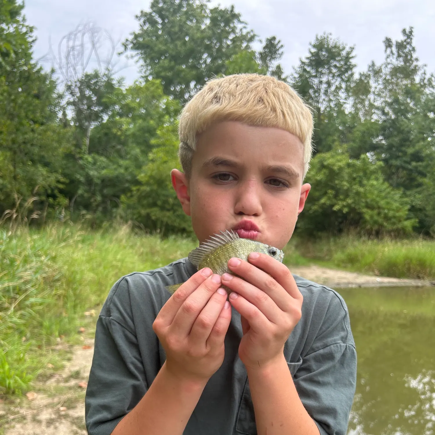 Bluegill caught on Fishbrain
