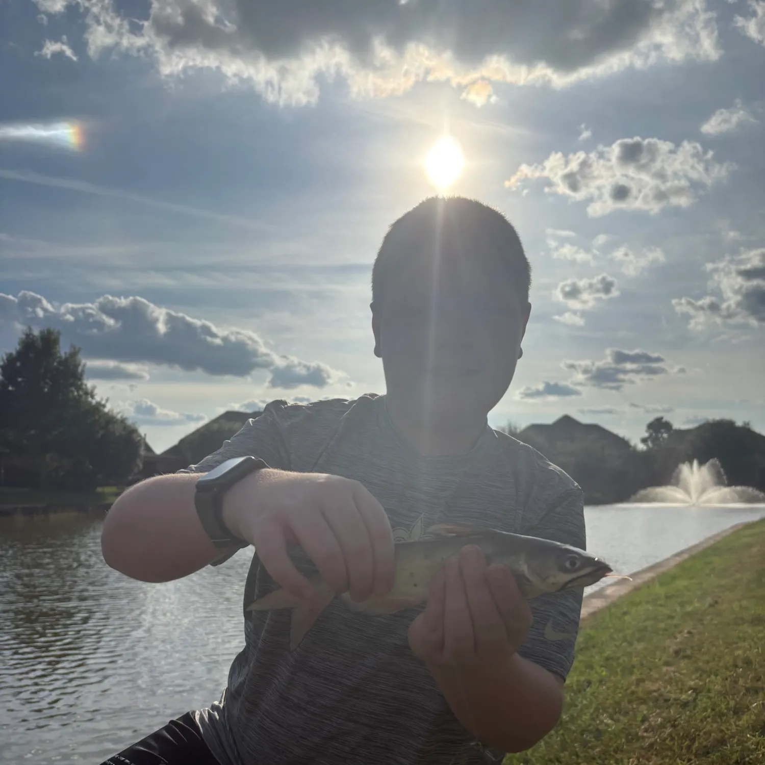 Channel catfish caught on Fishbrain