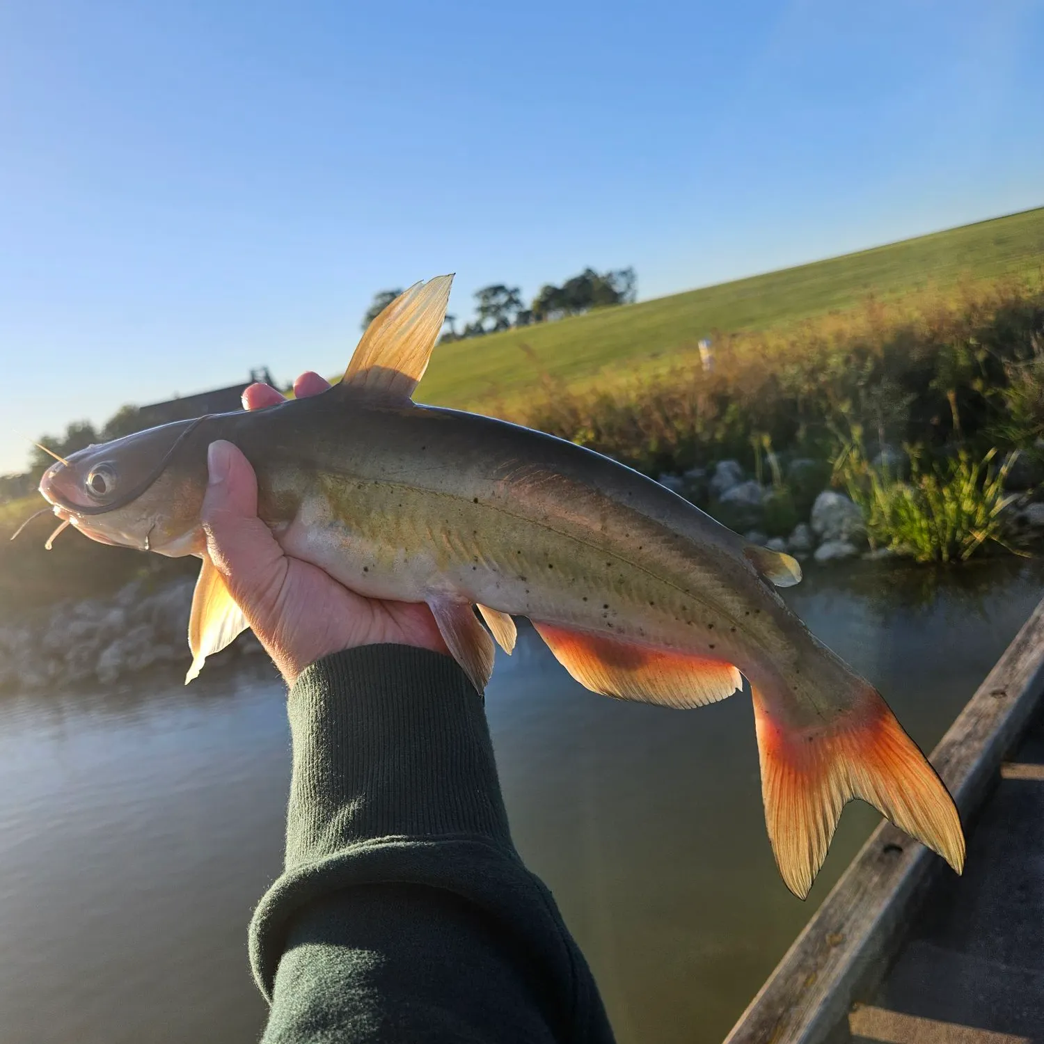catch