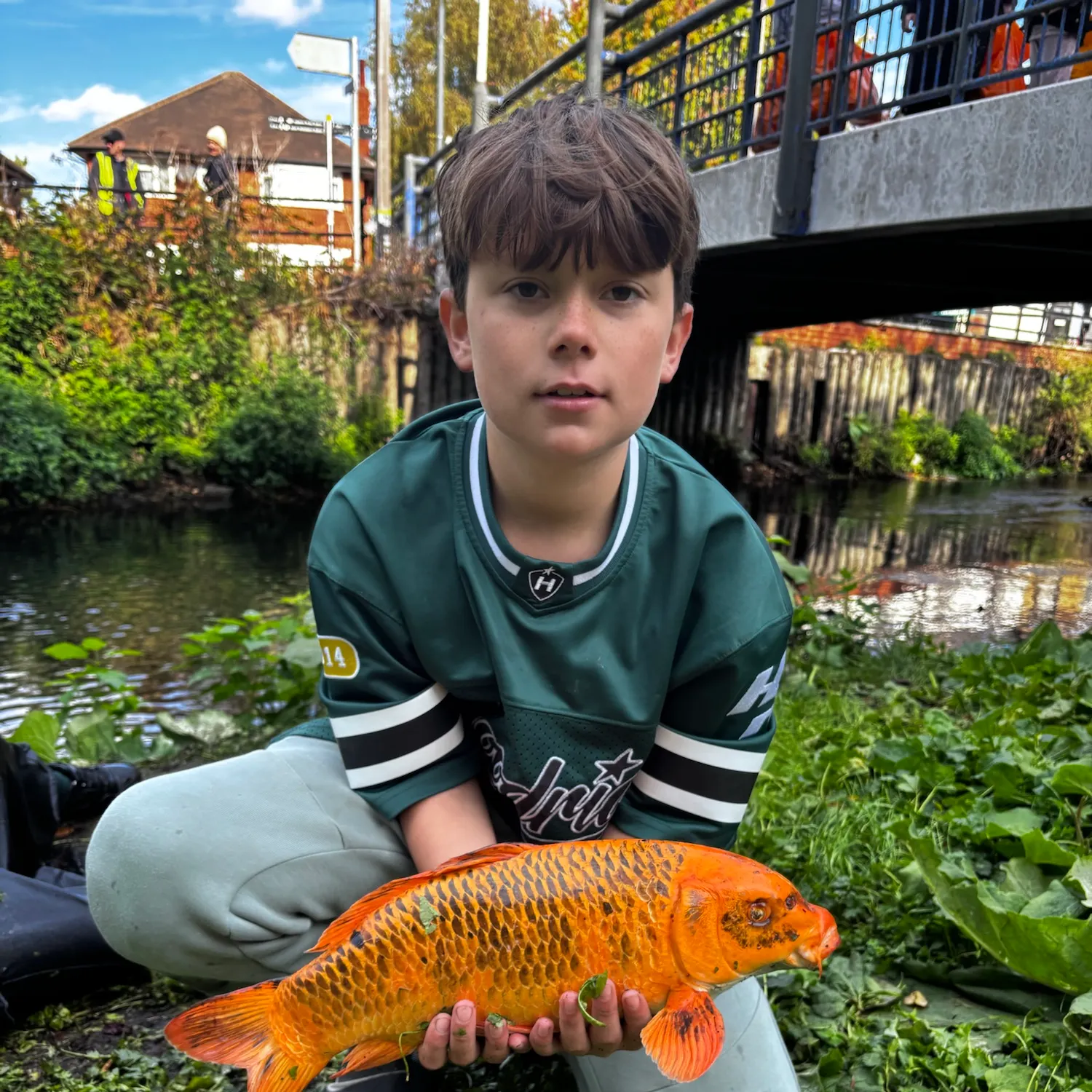 Koi carp caught on Fishbrain