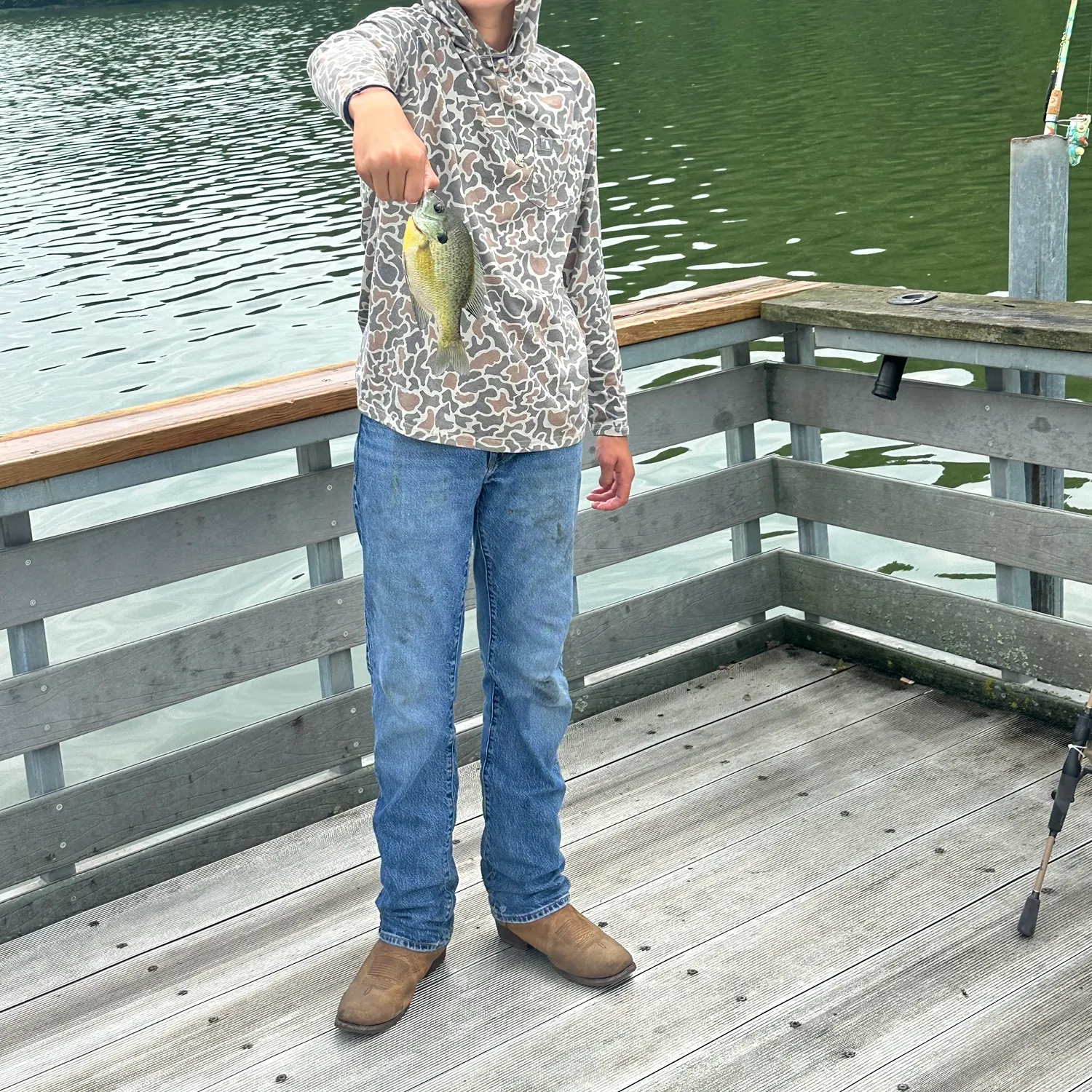 Bluegill caught on Fishbrain
