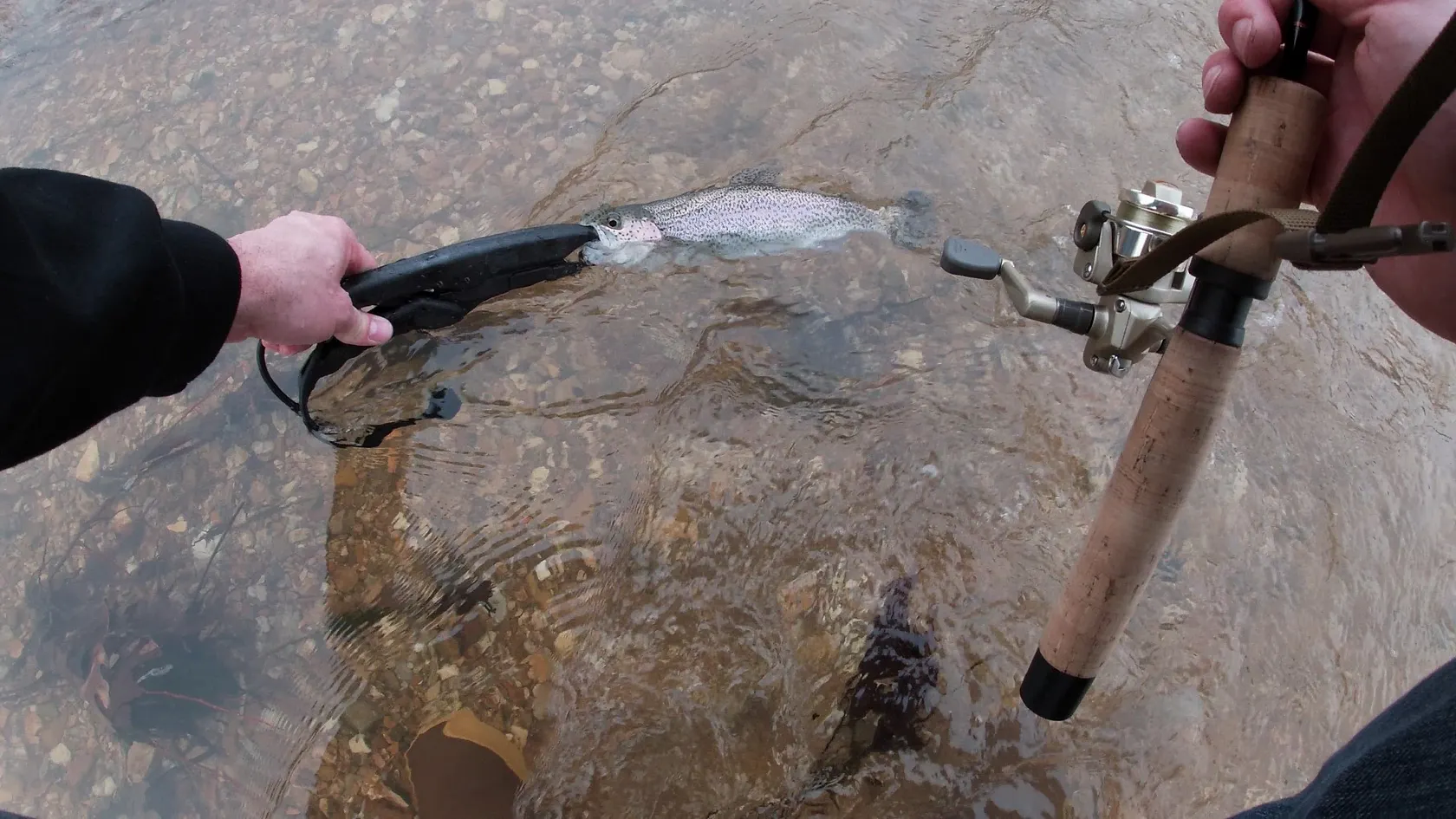 Post image from KayakSoldier