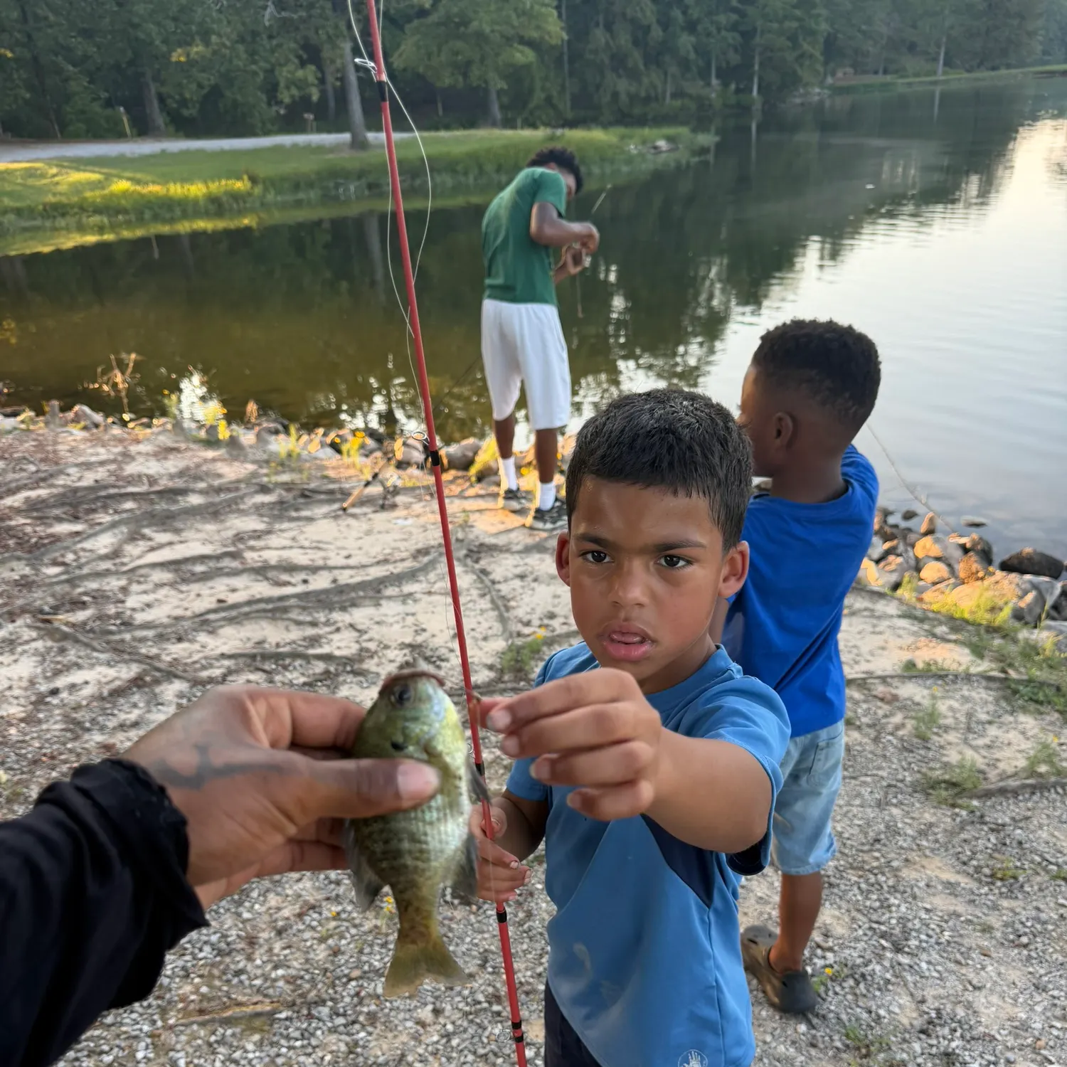 Fish caught on Fishbrain