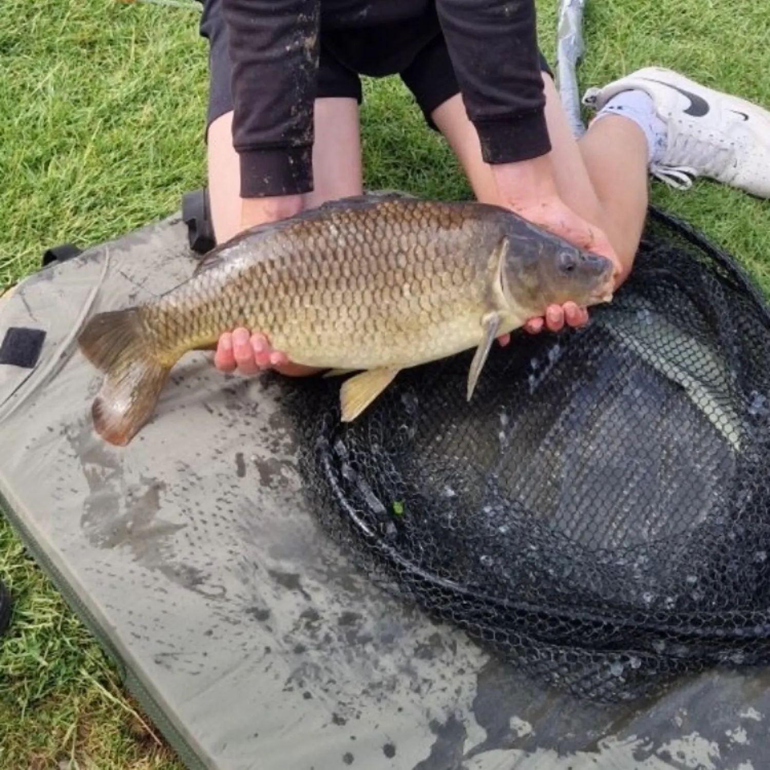 The most recent Common carp catches on Fishbrain