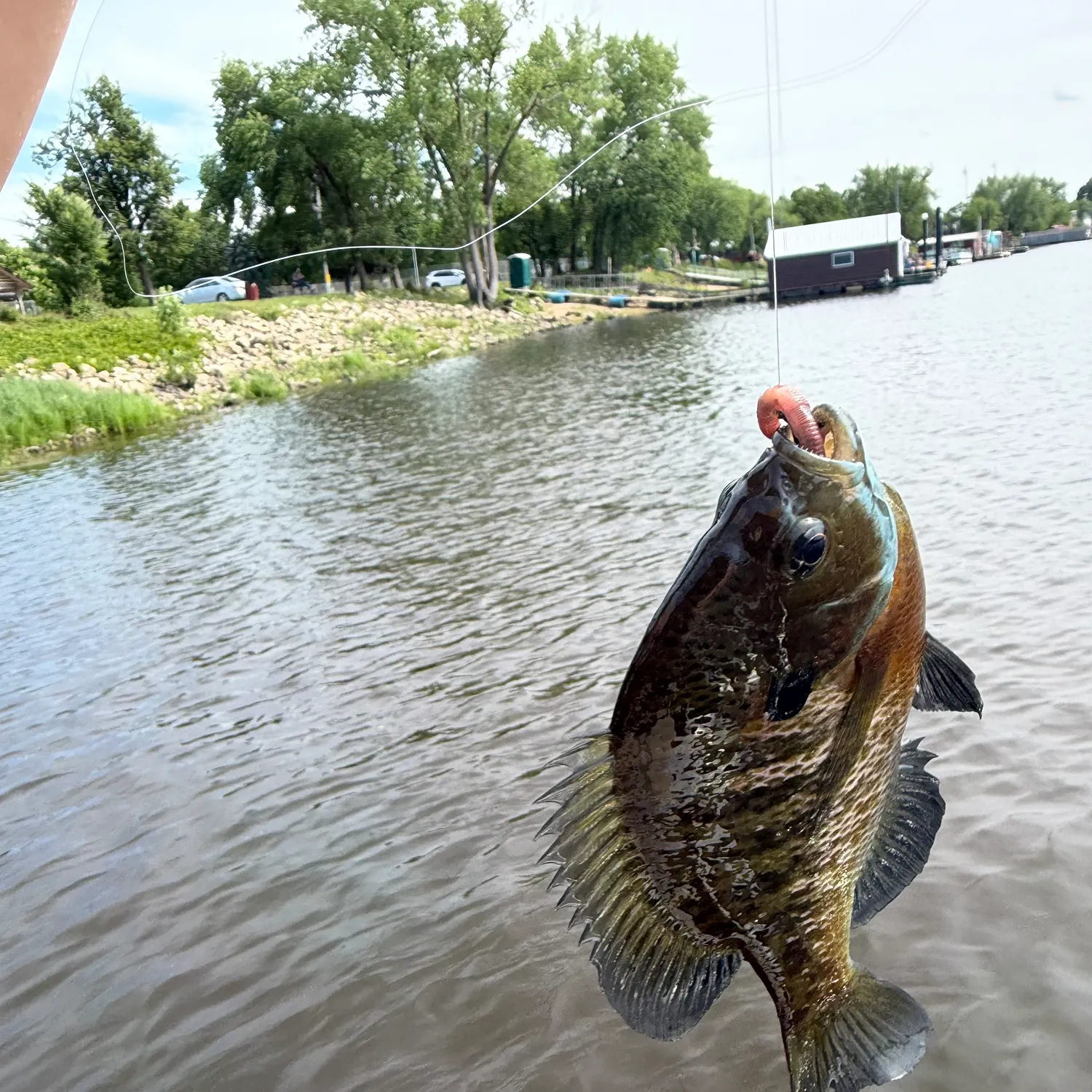 catch