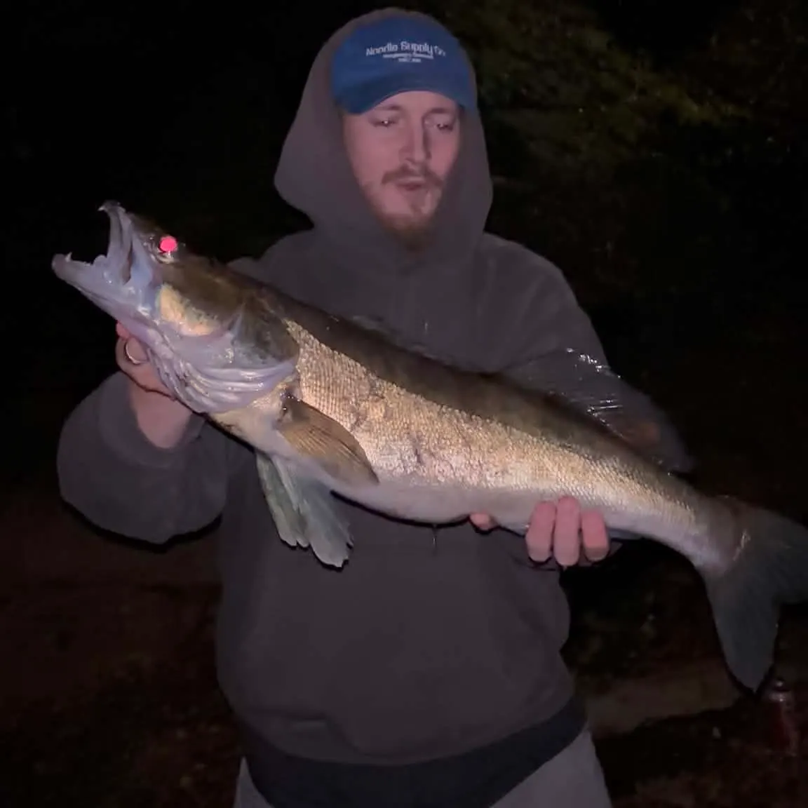 Zander caught on Fishbrain