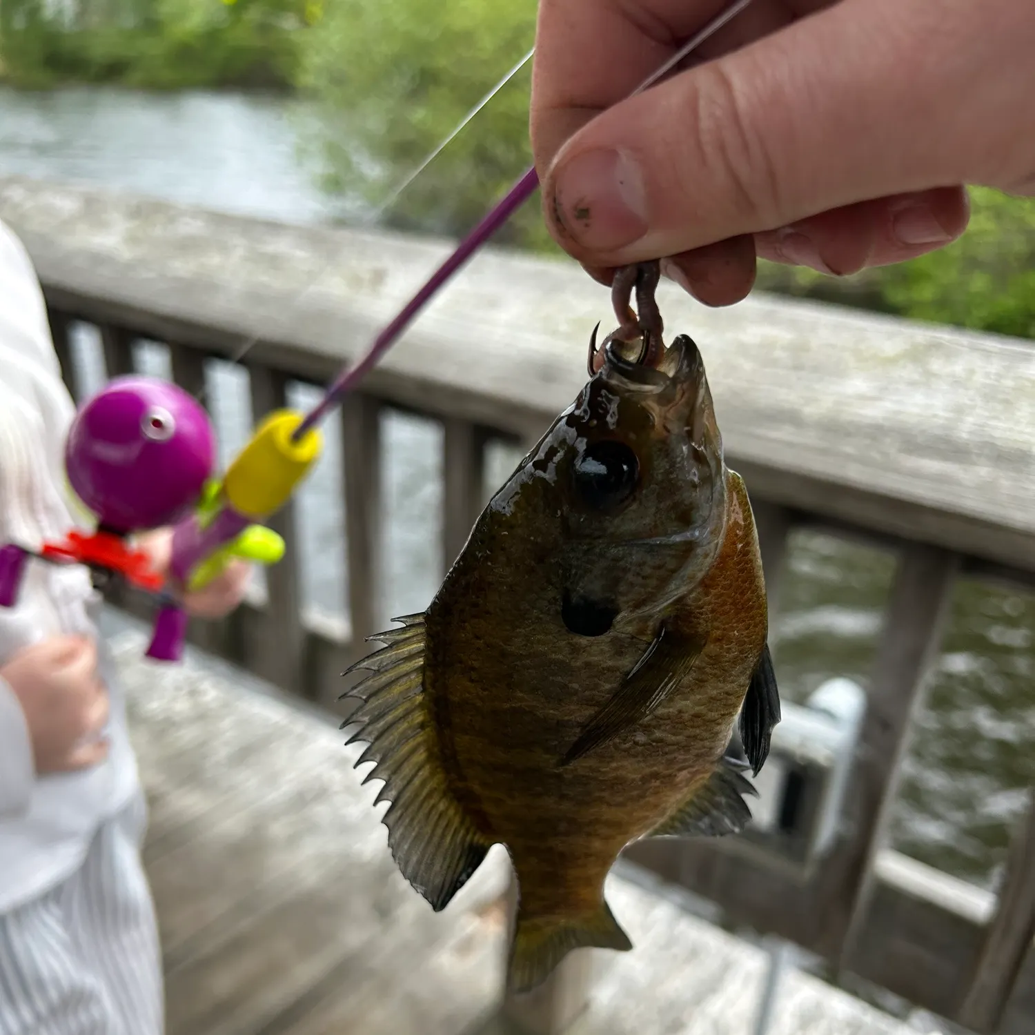 catch