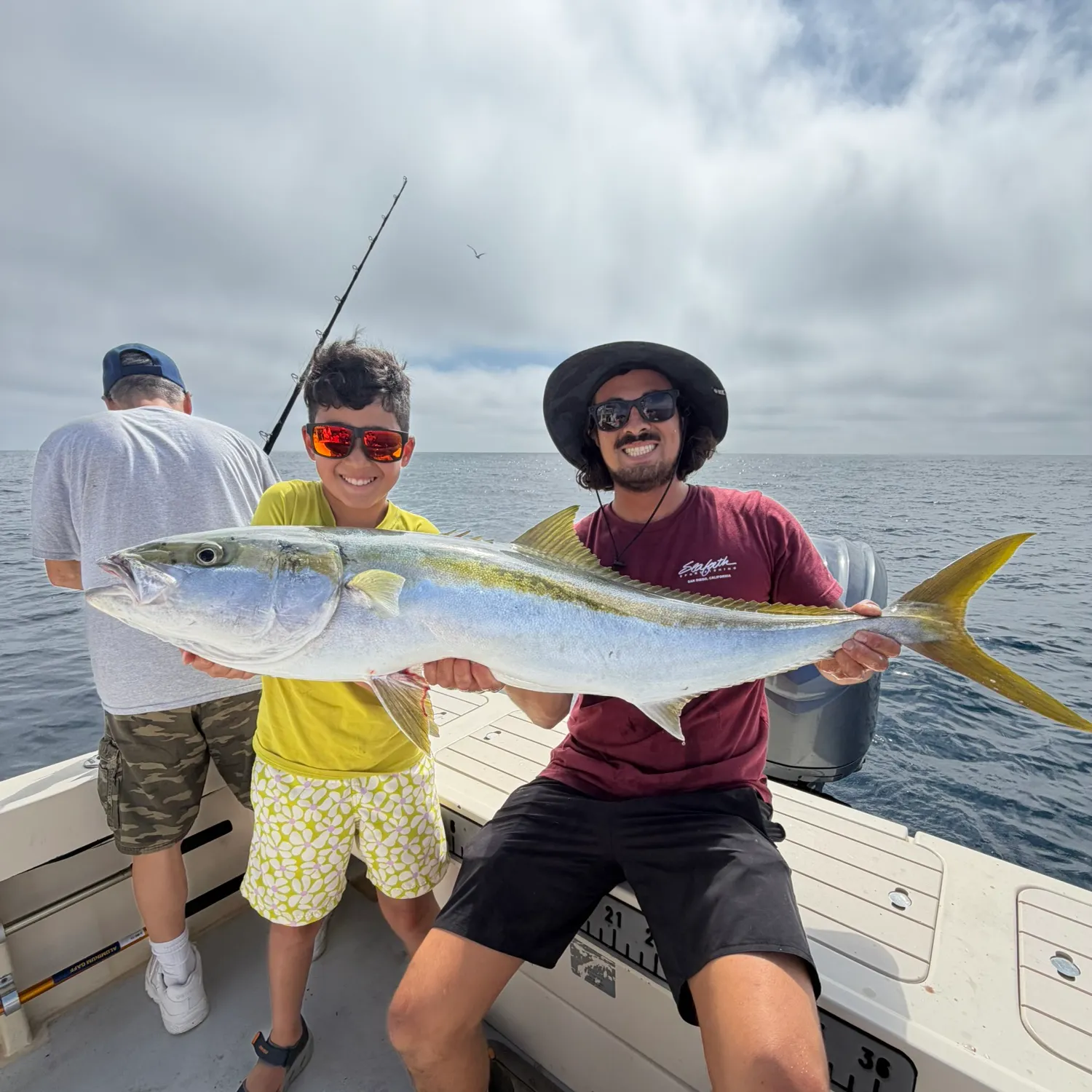 California yellowtail amberjack caught on Fishbrain