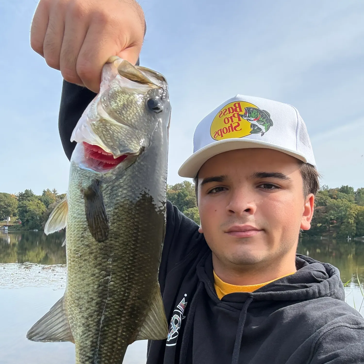 Largemouth bass caught on Fishbrain