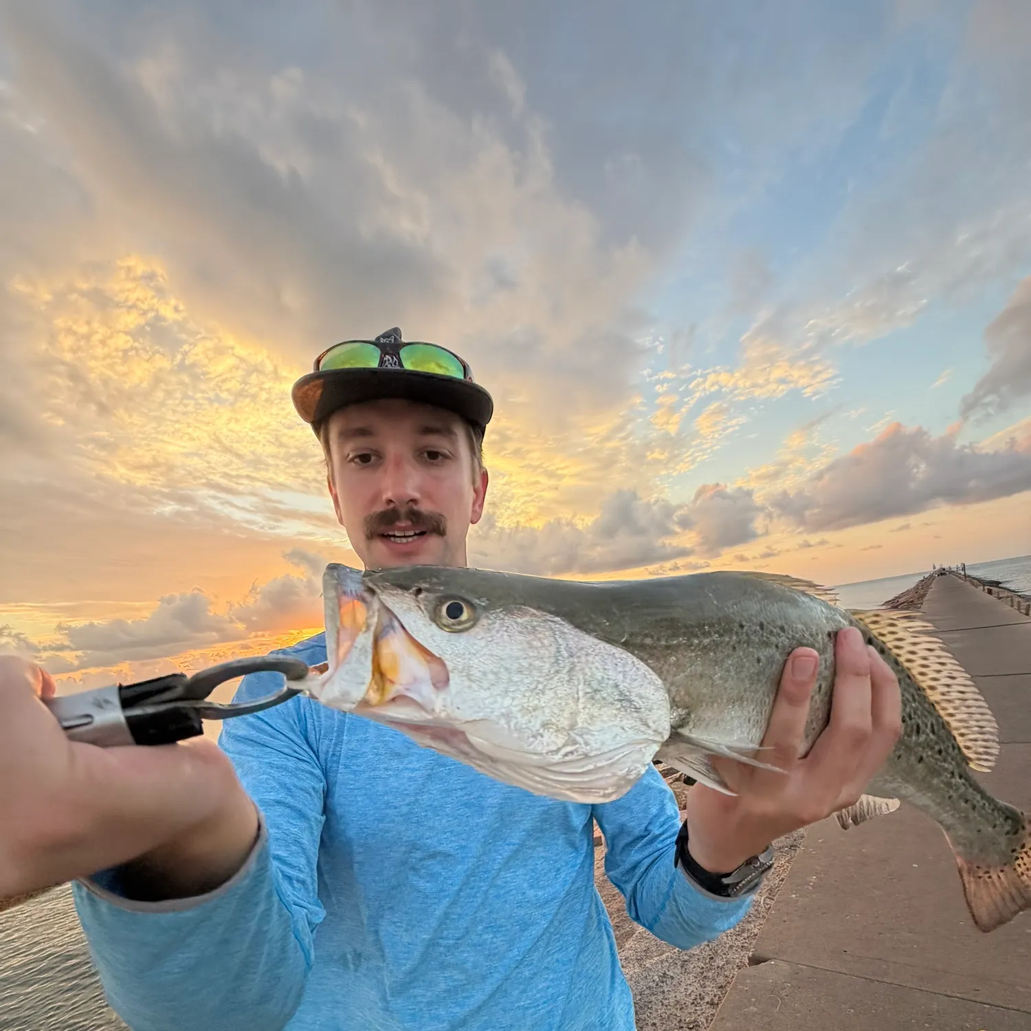 Spotted seatrout caught on Fishbrain