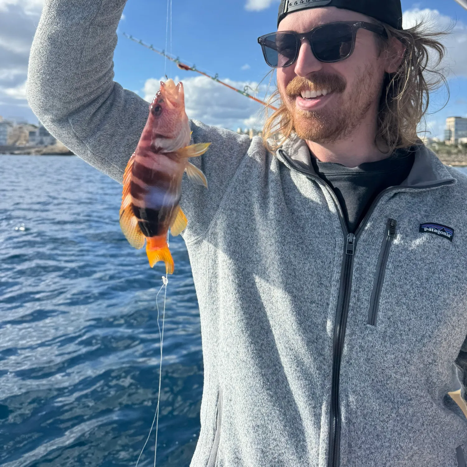 The most recent Painted comber catches on Fishbrain