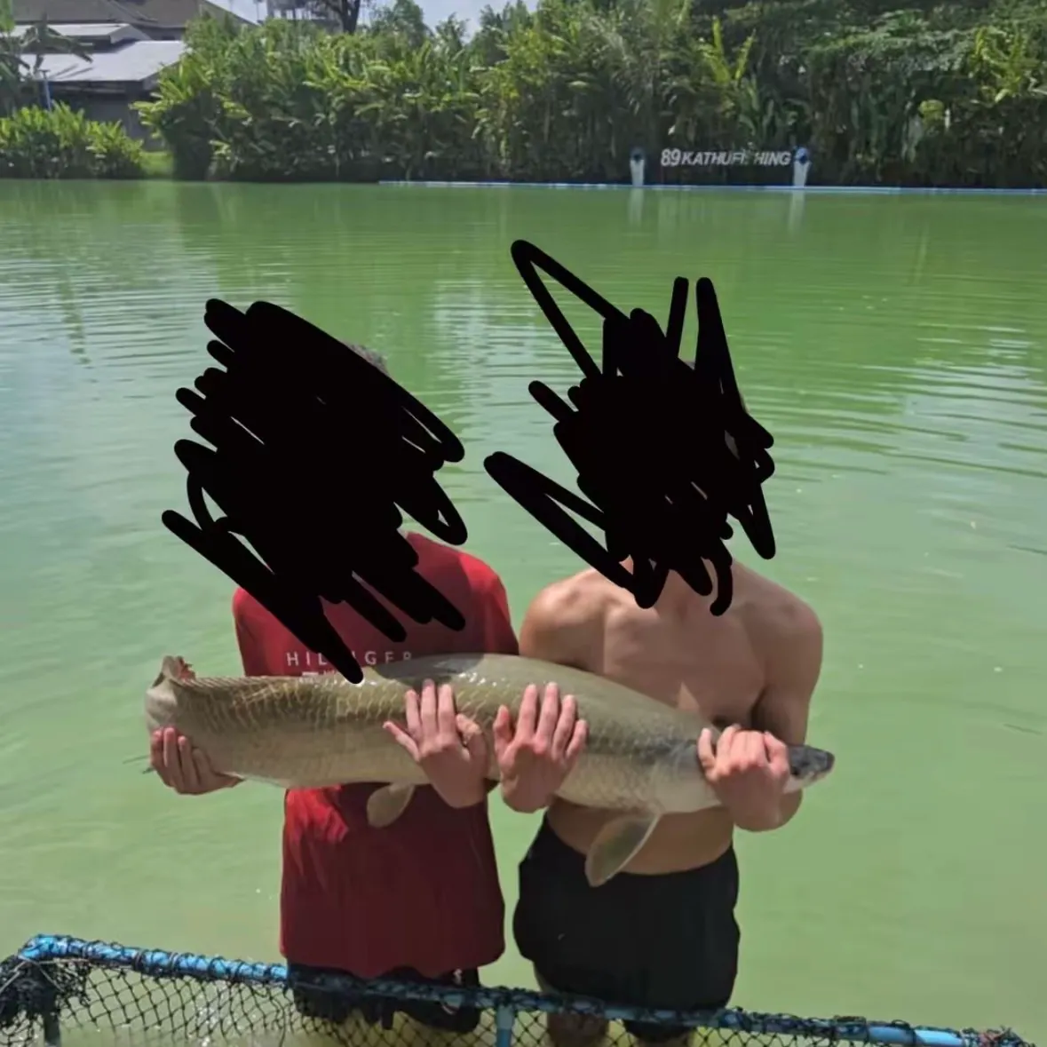 The most recent Arapaima catches on Fishbrain