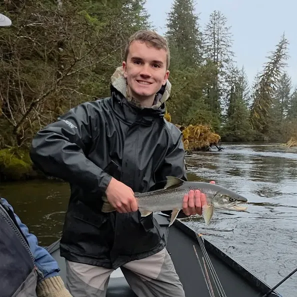 The most recent Dolly varden catches on Fishbrain