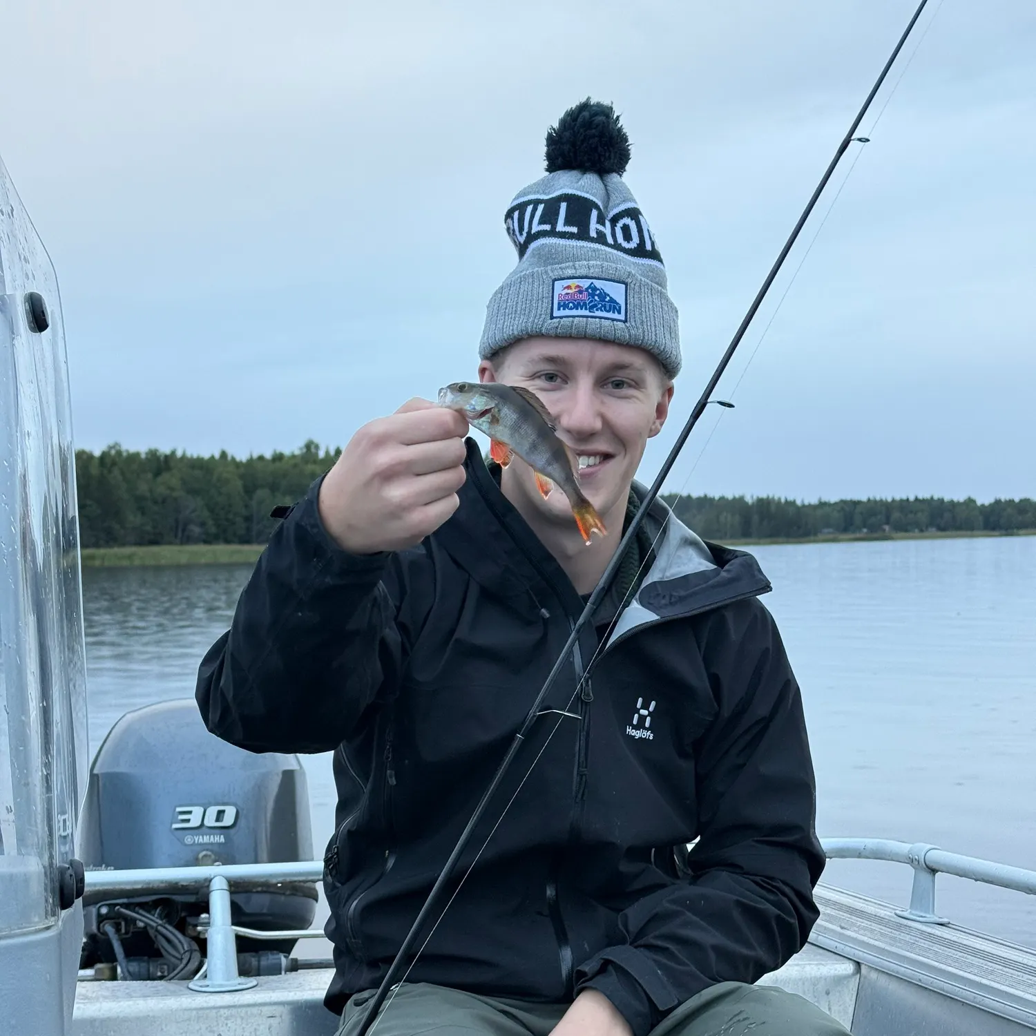 European perch caught on Fishbrain