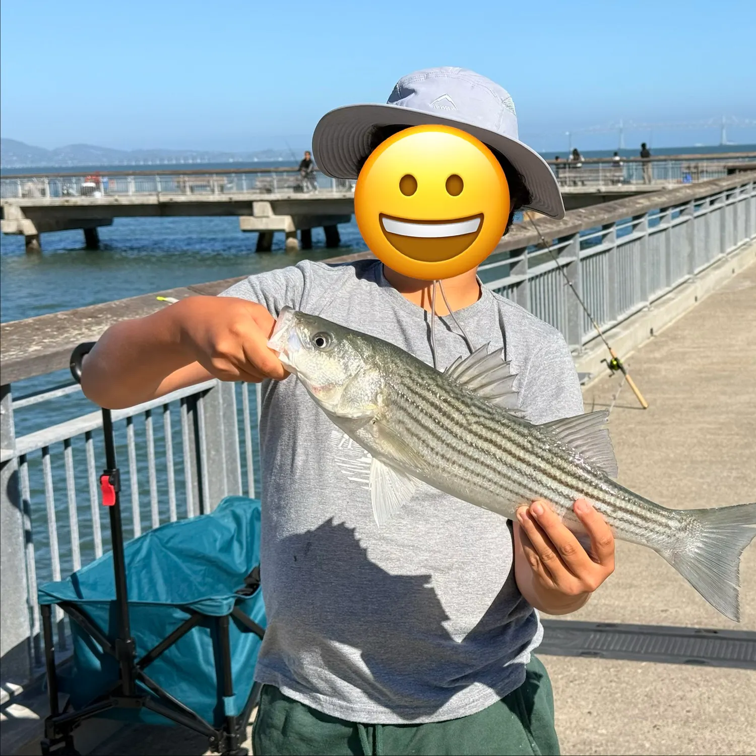 Striped bass caught on Fishbrain