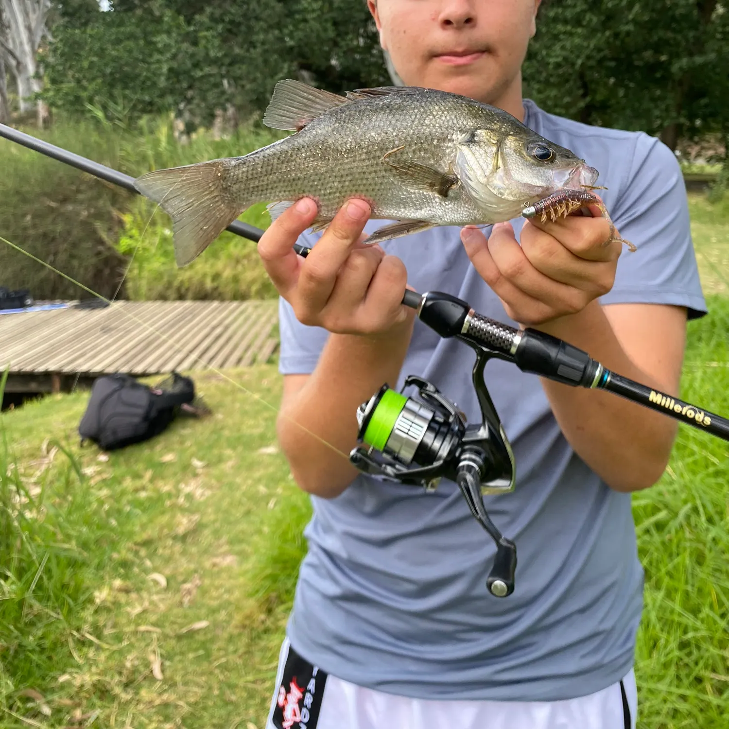 The most recent Estuary perch catches on Fishbrain