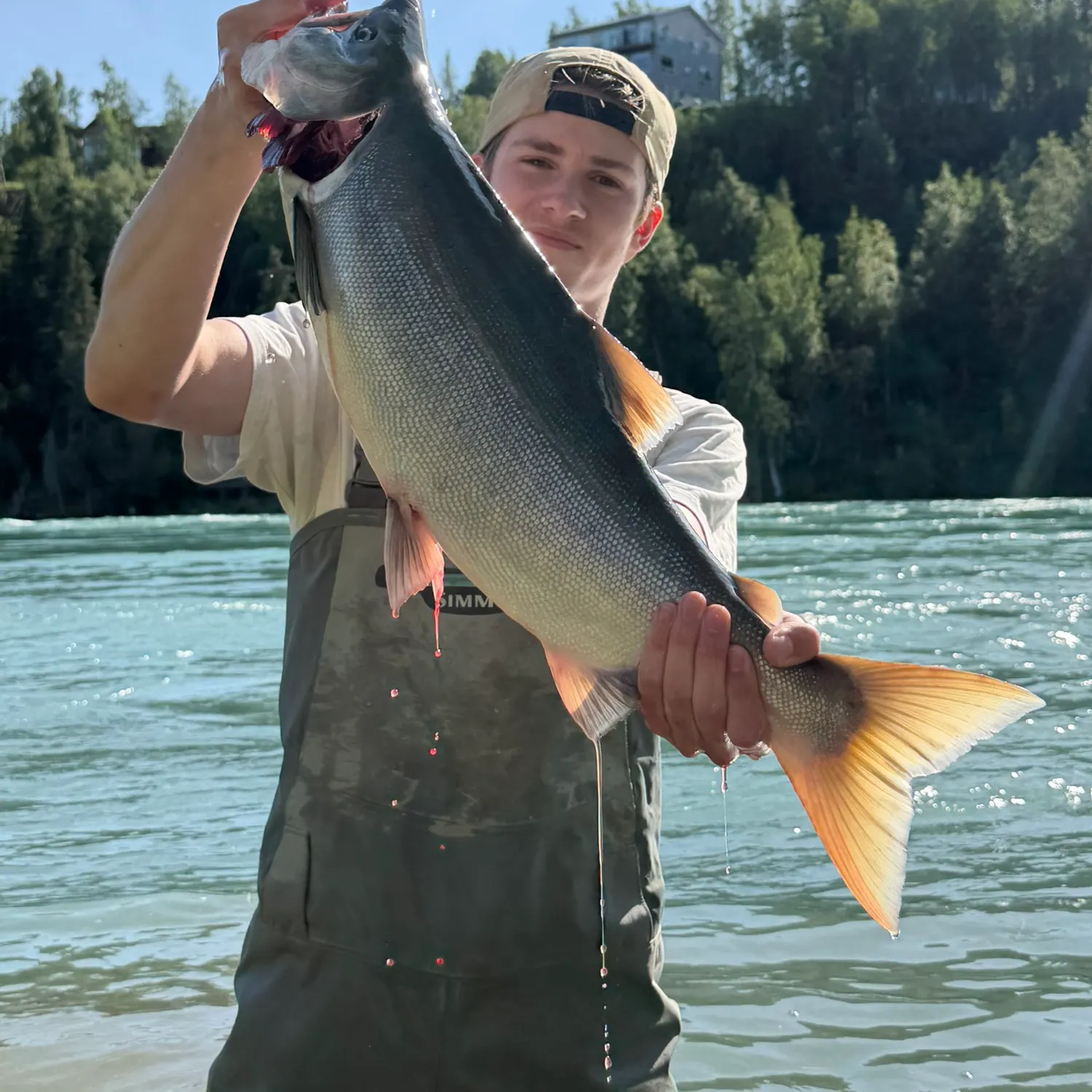 Sockeye salmon caught on Fishbrain