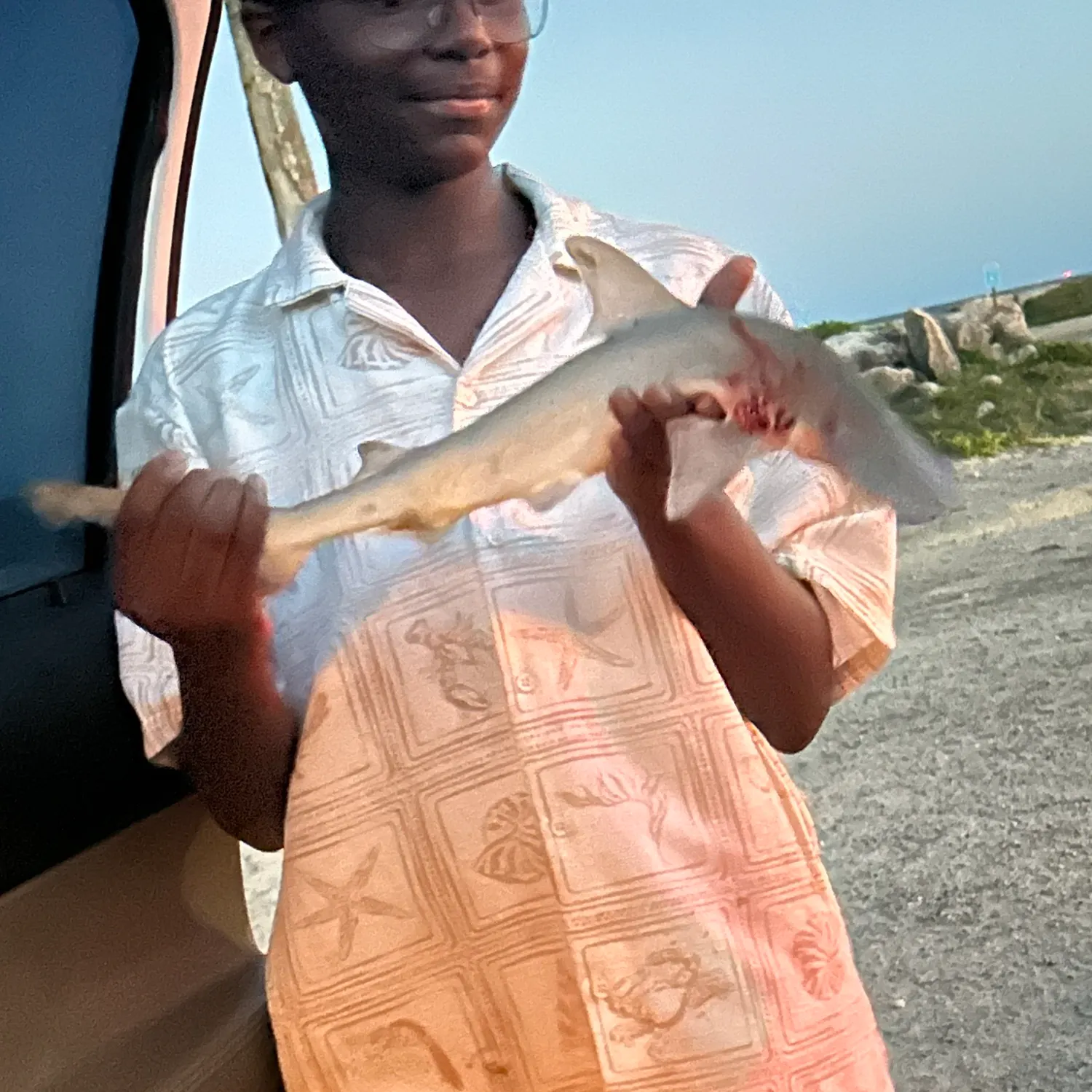 The most recent Bonnethead shark catches on Fishbrain
