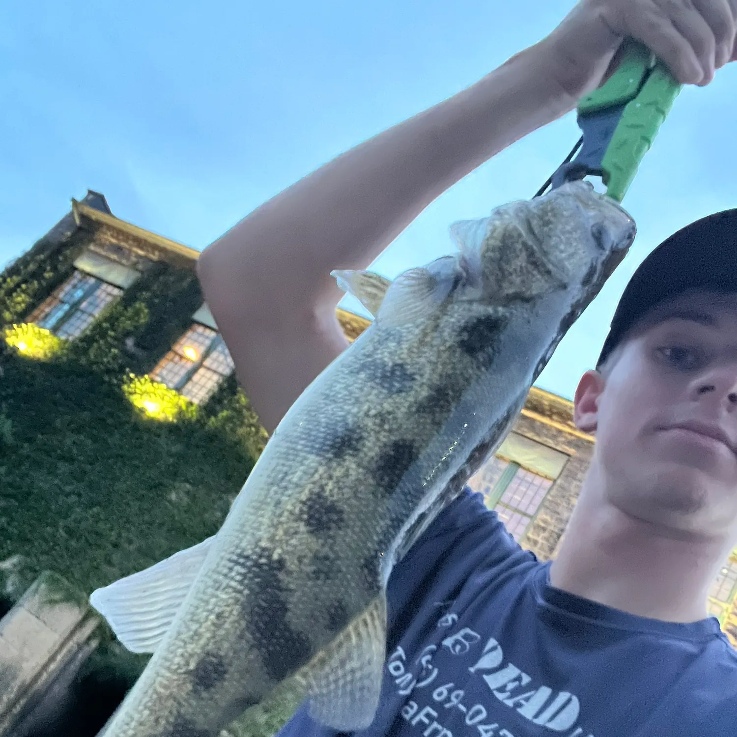 Sauger caught on Fishbrain