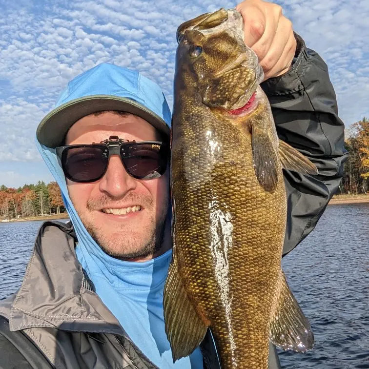 Smallmouth bass caught on Fishbrain