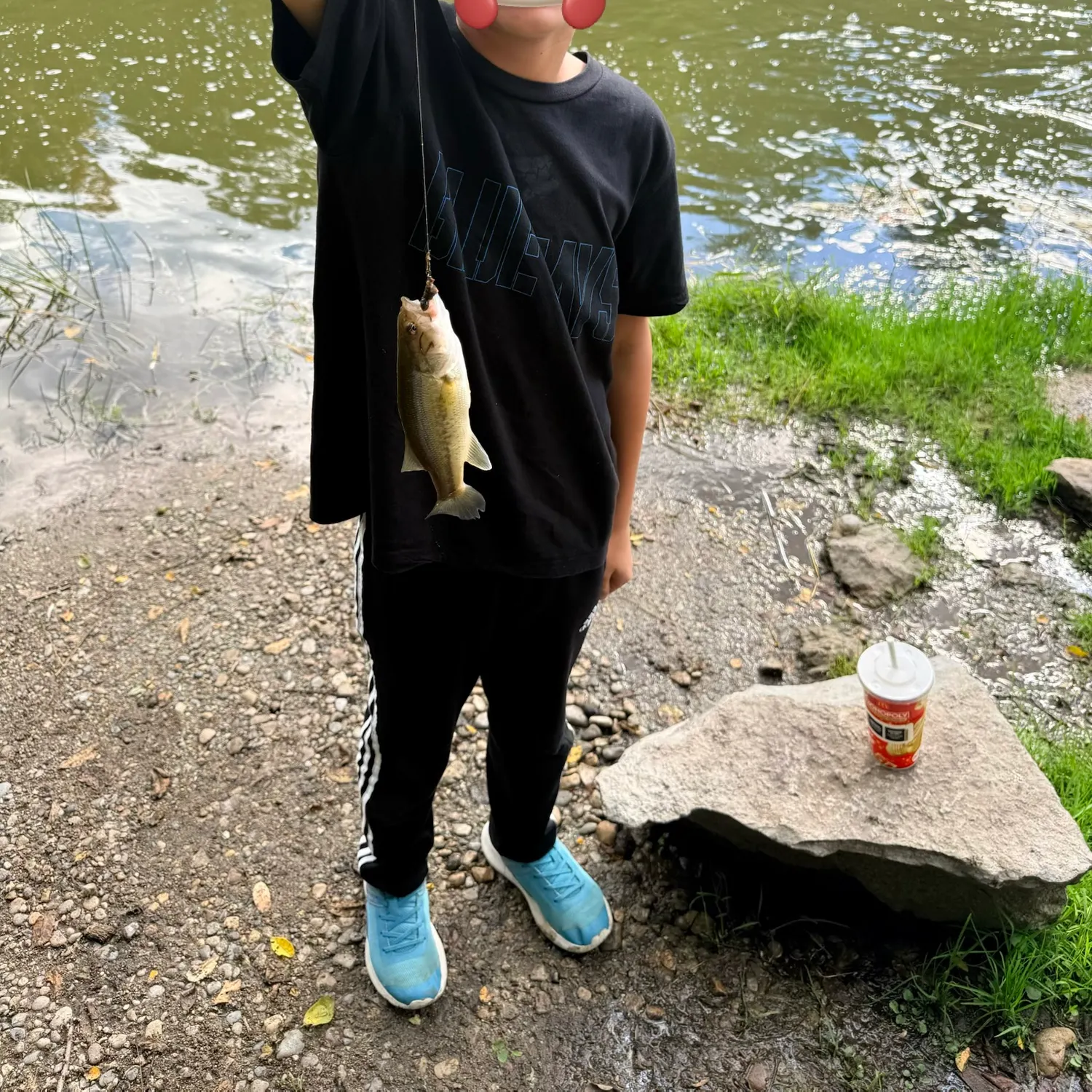 Smallmouth bass caught on Fishbrain