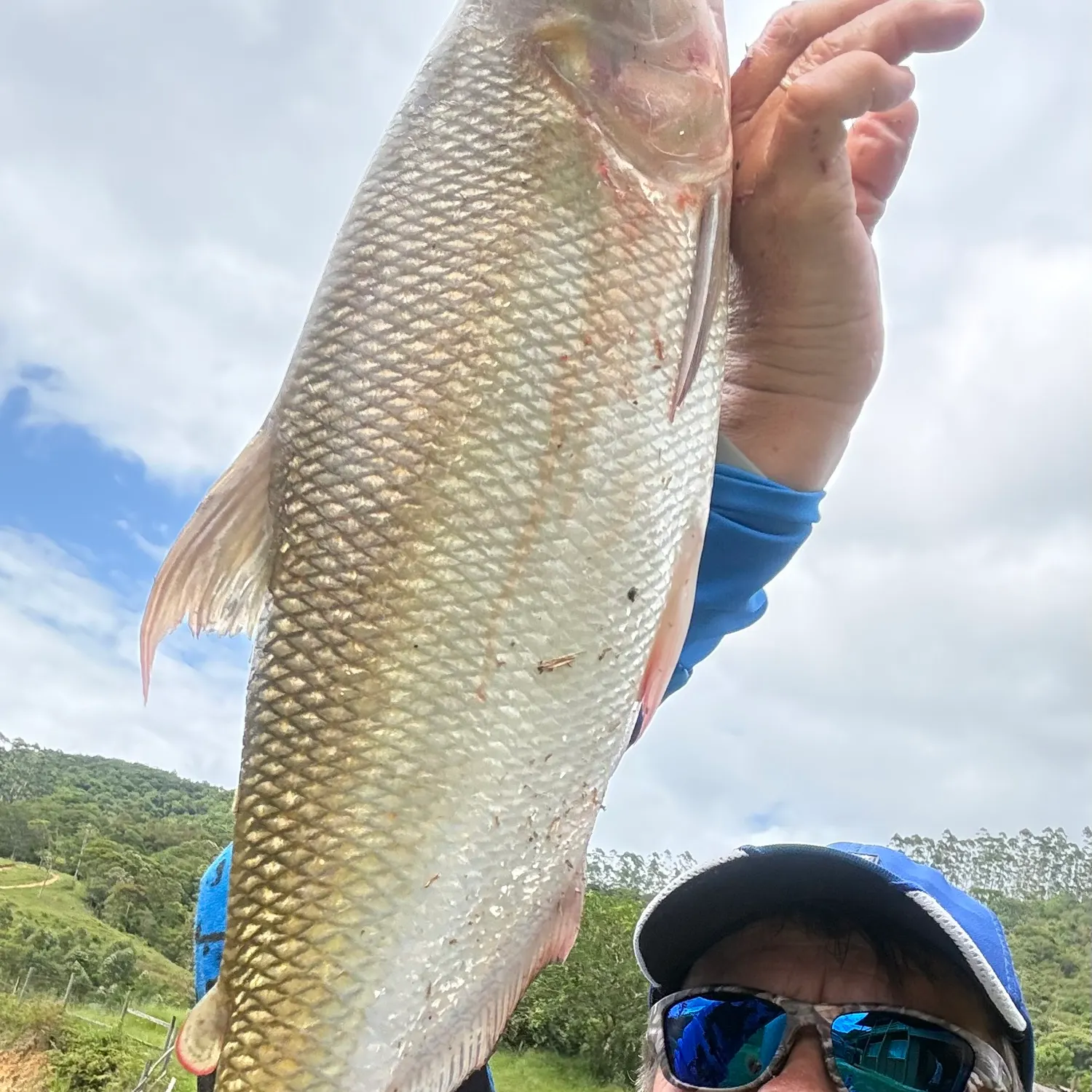 The most recent Matrichan catches on Fishbrain