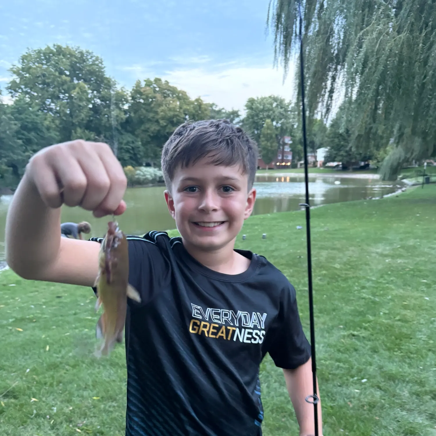 Yellow bullhead caught on Fishbrain