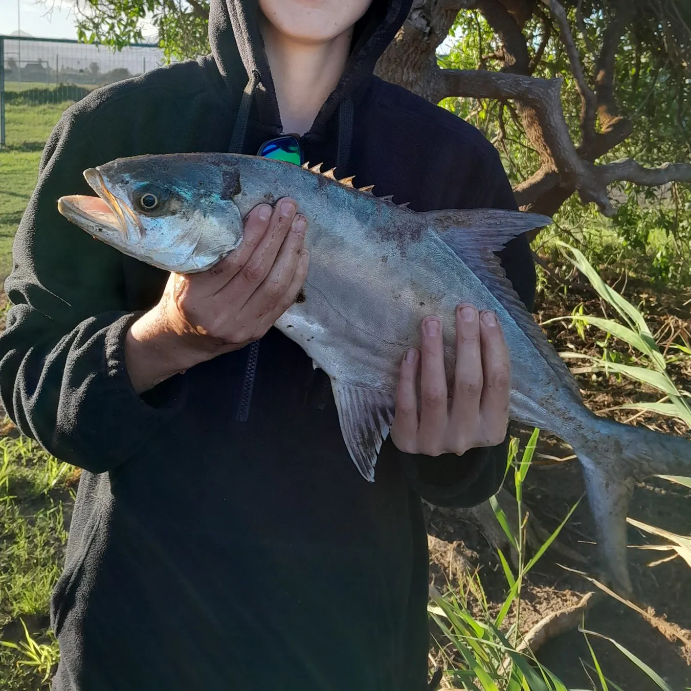 most liked catch image