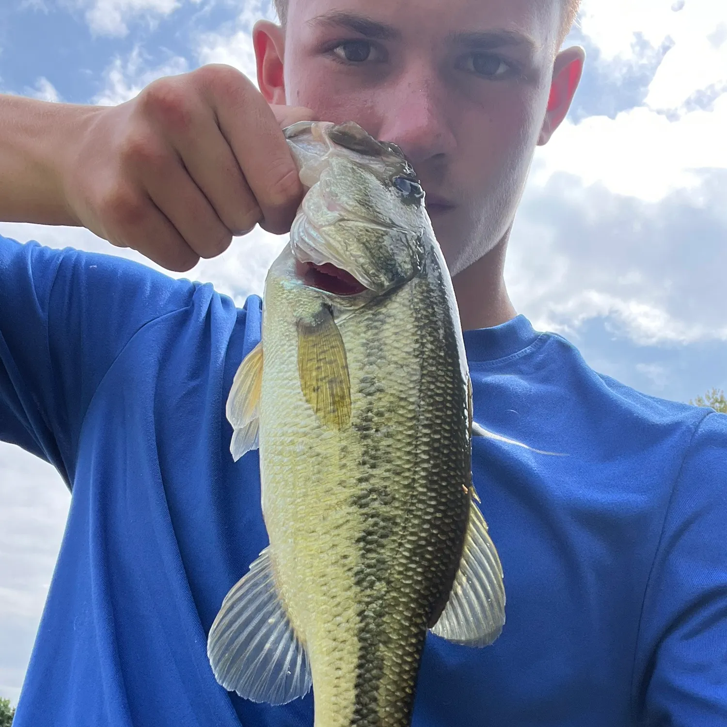 Spotted bass caught on Fishbrain
