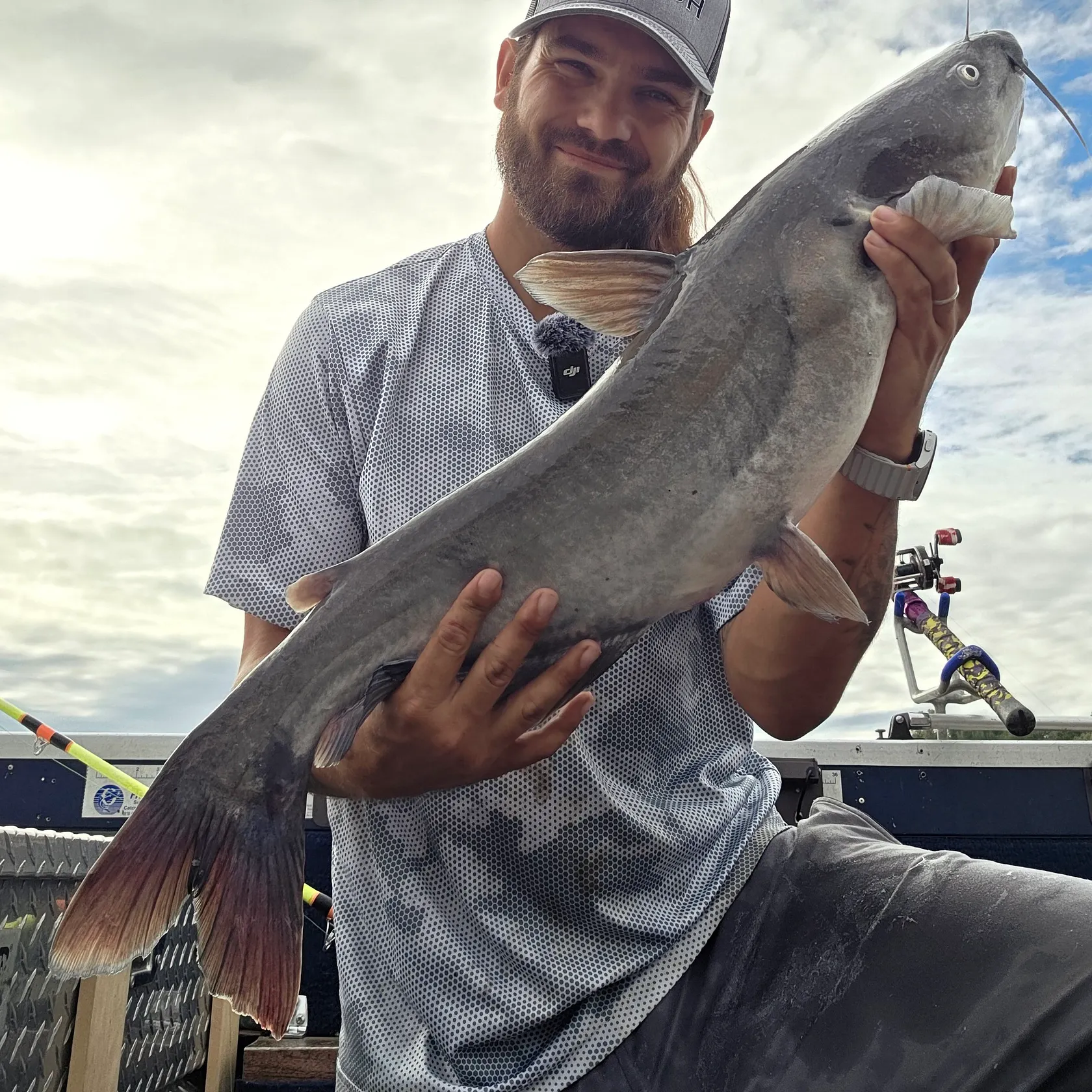 The most recent Blue catfish catches on Fishbrain