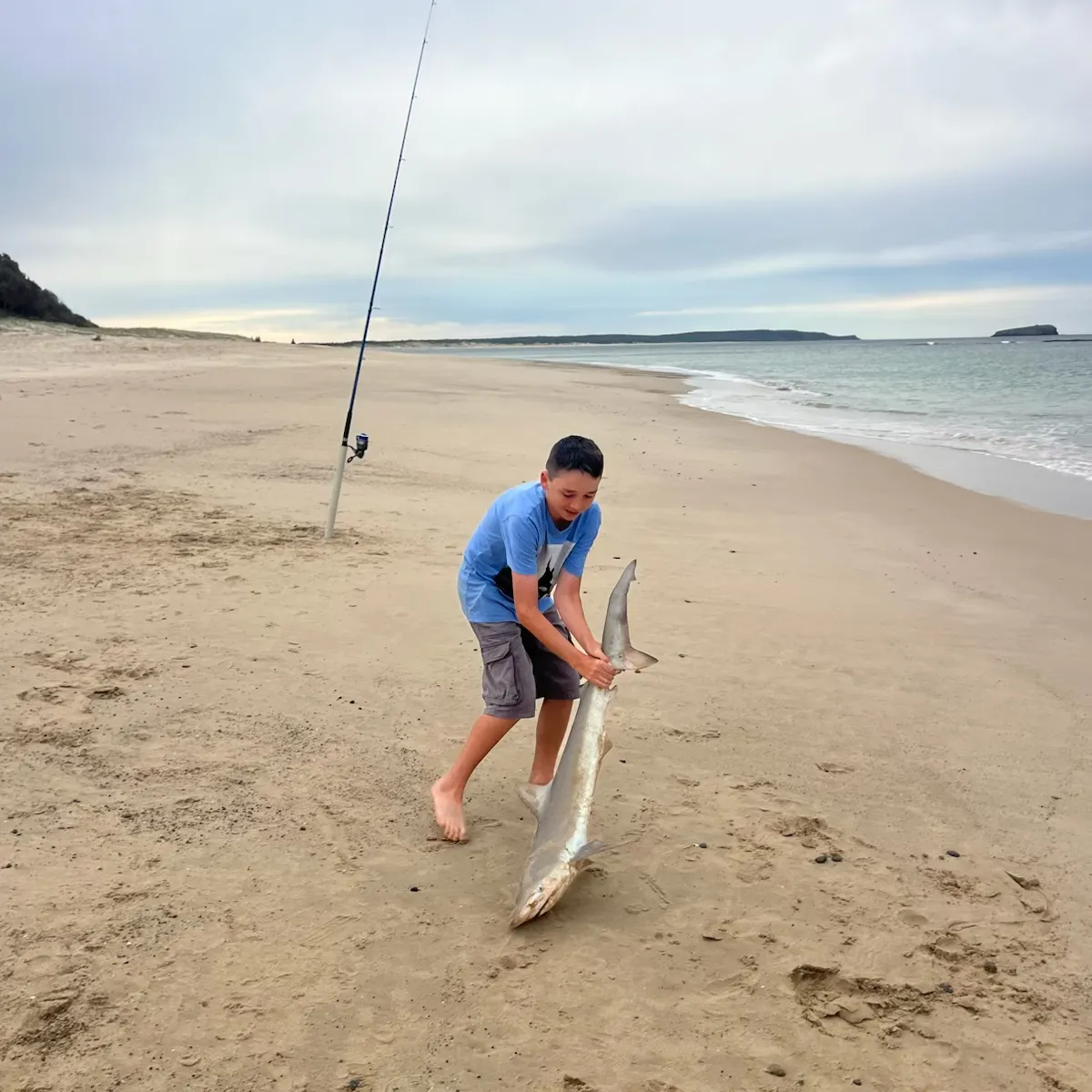 The most recent Blacknose shark catches on Fishbrain