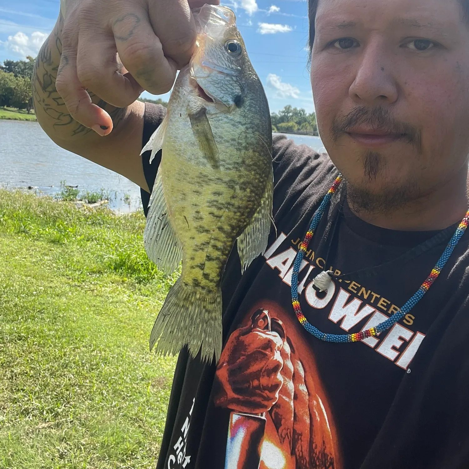 White crappie caught on Fishbrain