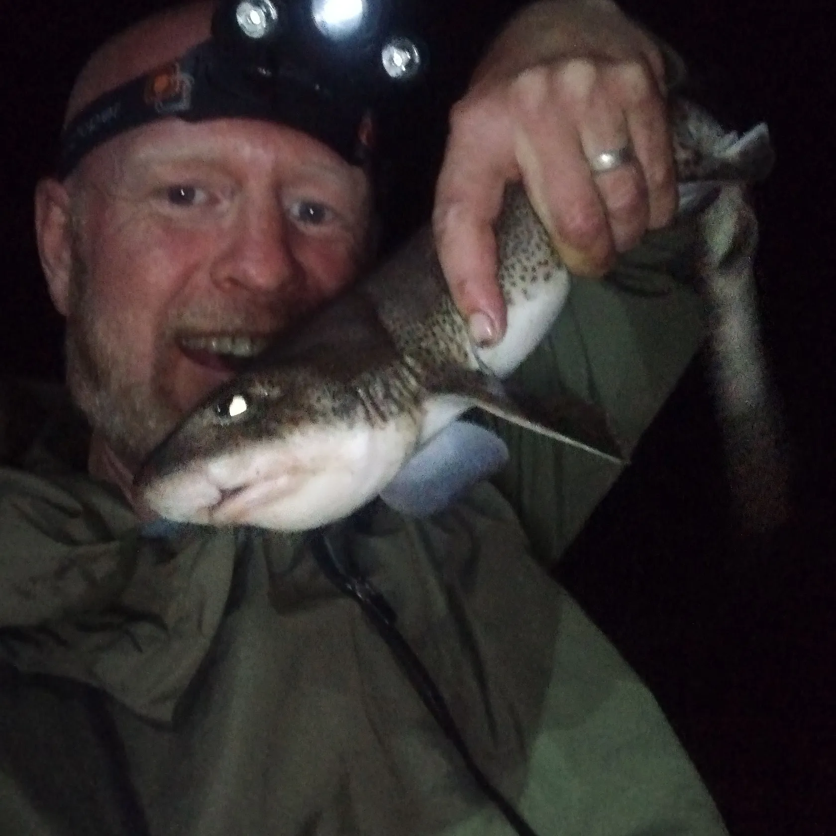 The most recent Lesser spotted dogfish catches on Fishbrain